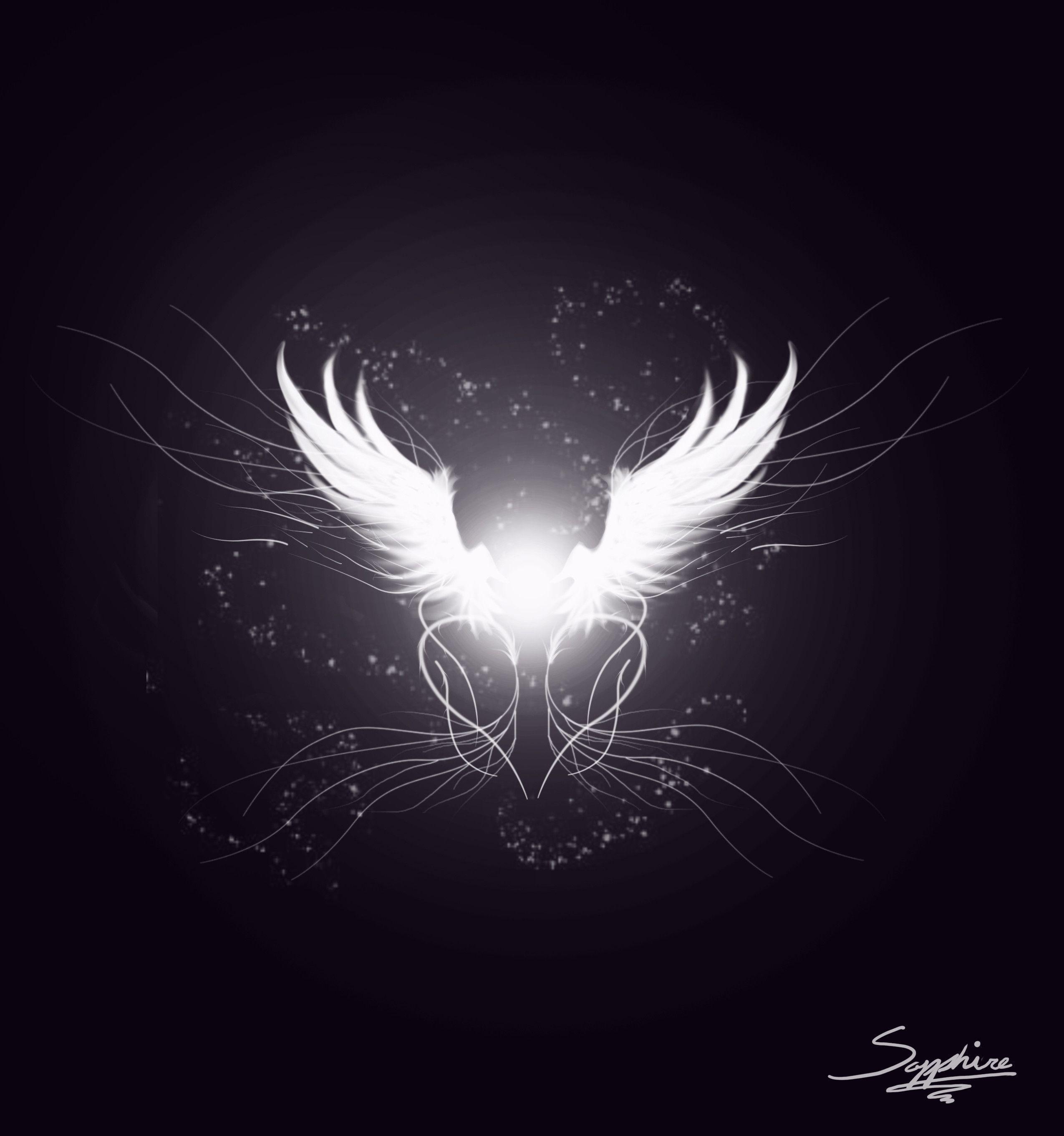 Dark Wings Wallpapers Top Free Dark Wings Backgrounds WallpaperAccess Dark Wings Wallpapers Top Free Dark Wings Backgrounds WallpaperAccess