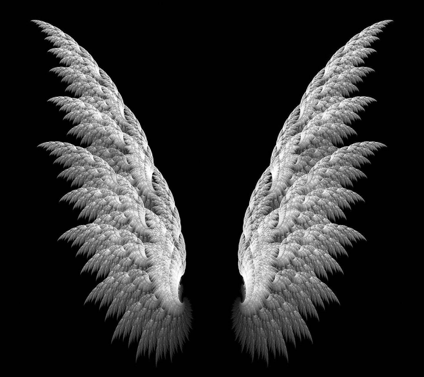 Angel Wings Wallpapers - Top Free Angel
