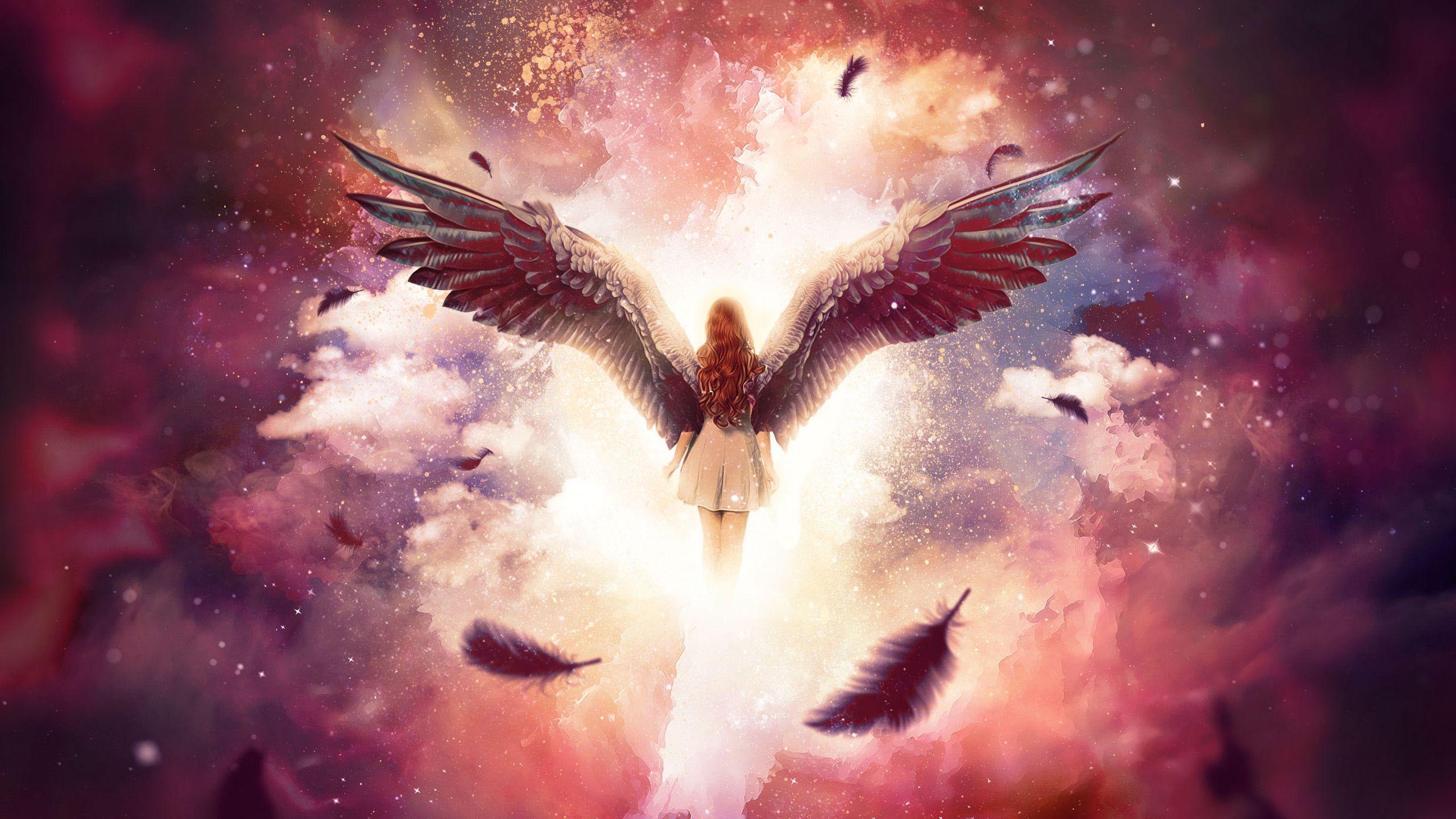 Angel Wings Wallpapers - Top Free Angel Wings Backgrounds - WallpaperAccess