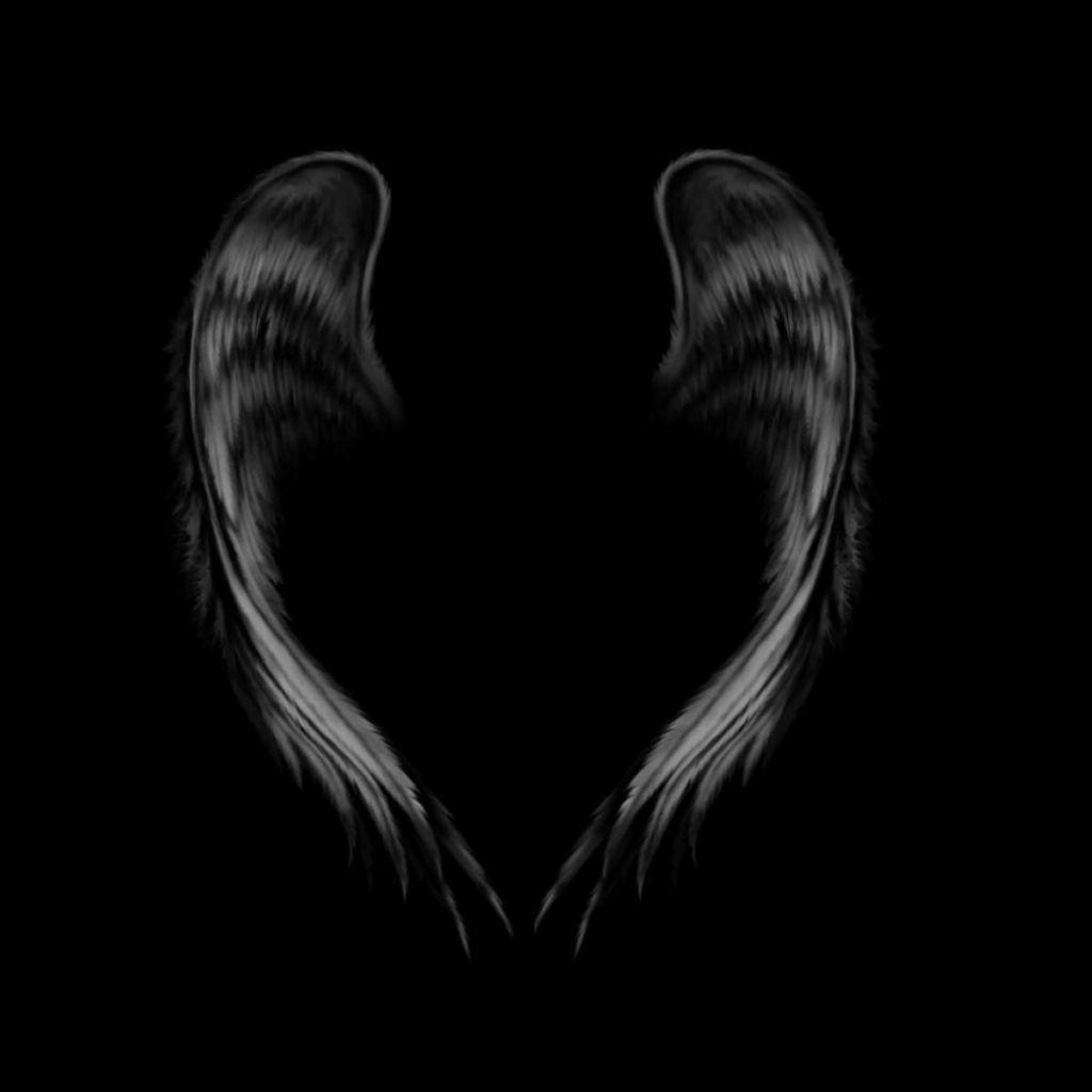 Black Wings Wallpapers - Top Free Black Wings Backgrounds - WallpaperAccess