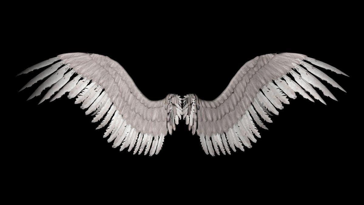 1200x675 Angel Wings HDQ Cover