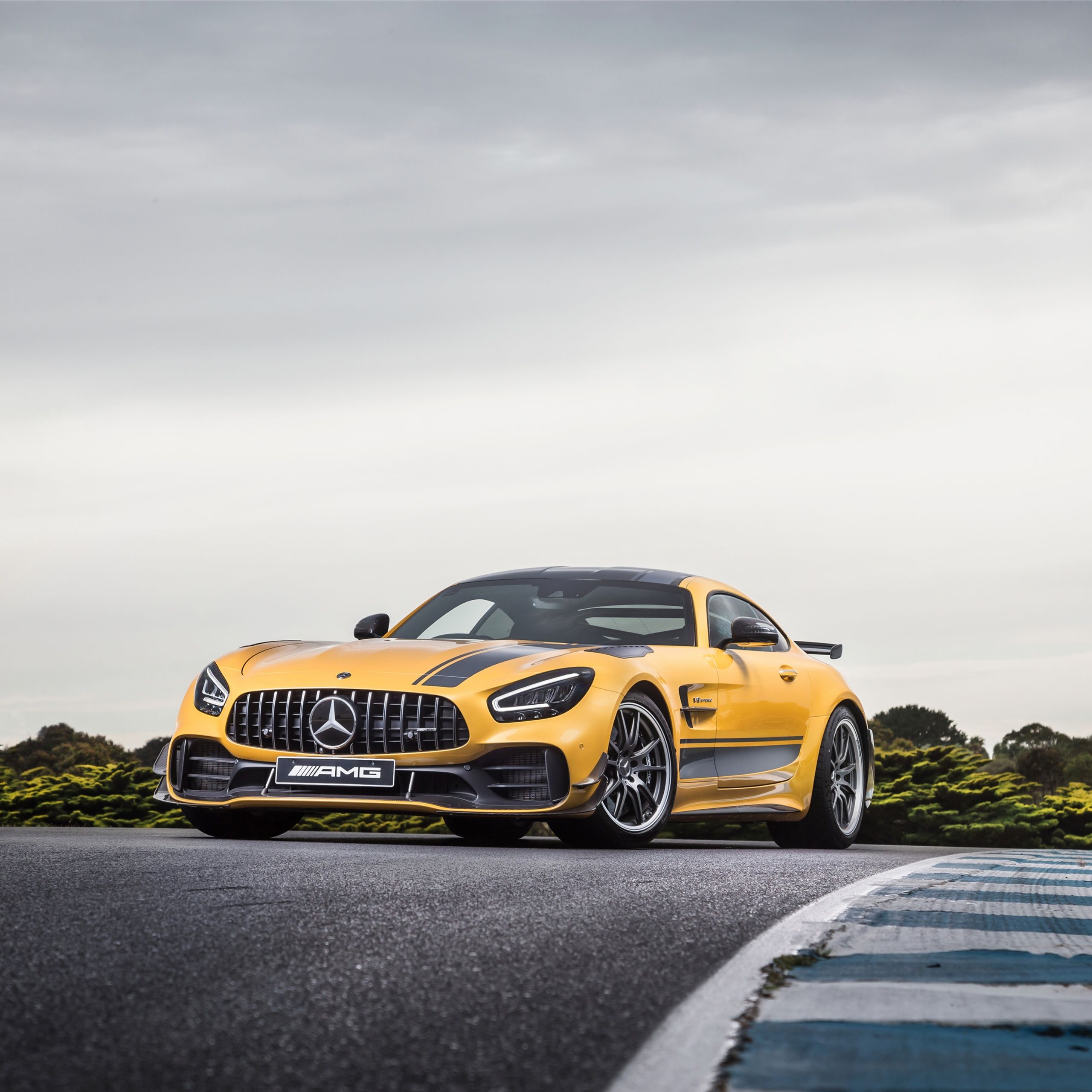2560x2560 Mercedes AMG GT R PRO Wallpaper 4K, 2021