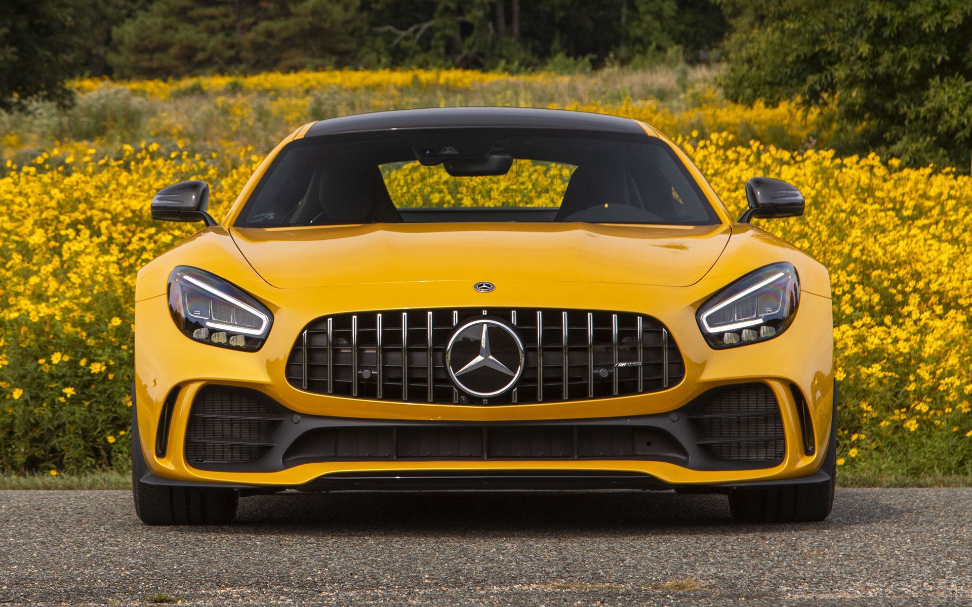 1920x1200 Mercedes AMG GT R US