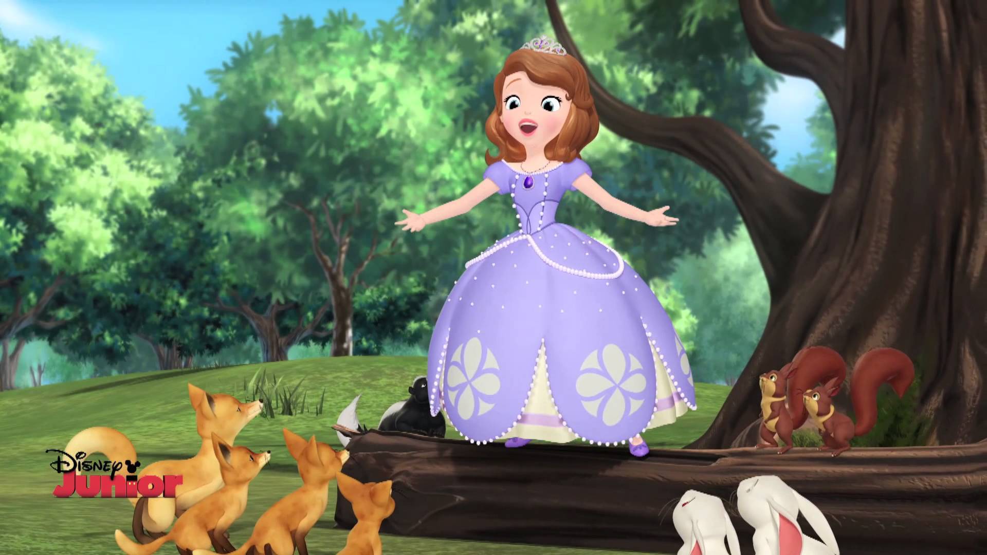 Sofia The Princess Wallpapers Top Free Sofia The Princess Backgrounds Wallpaperaccess