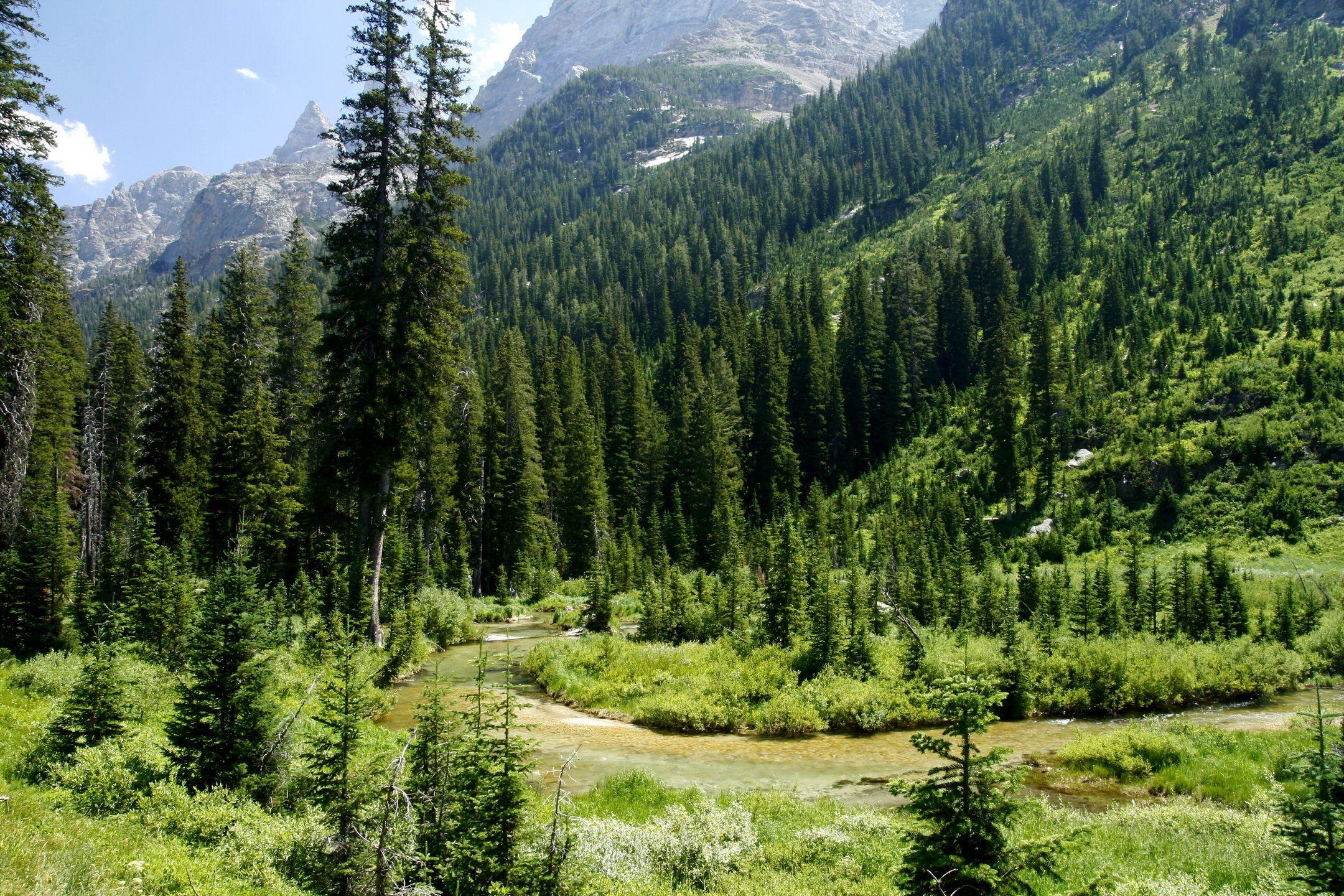 2160x1440 Download wallpaper 2160x1440 cascade canyon, grand teton