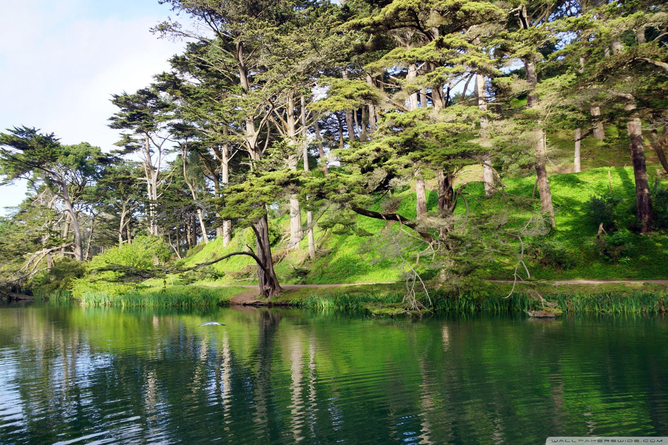 2160x1440 Golden Gate Park Wallpaper 14 X 1440