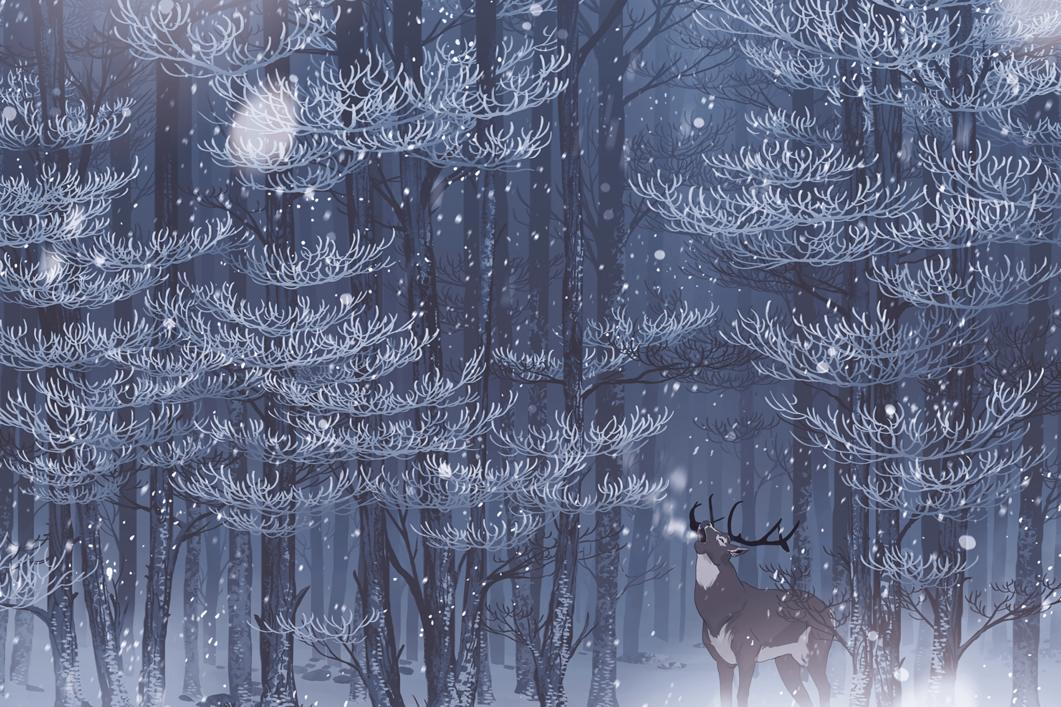 2160x1440 Wallpaper Winter