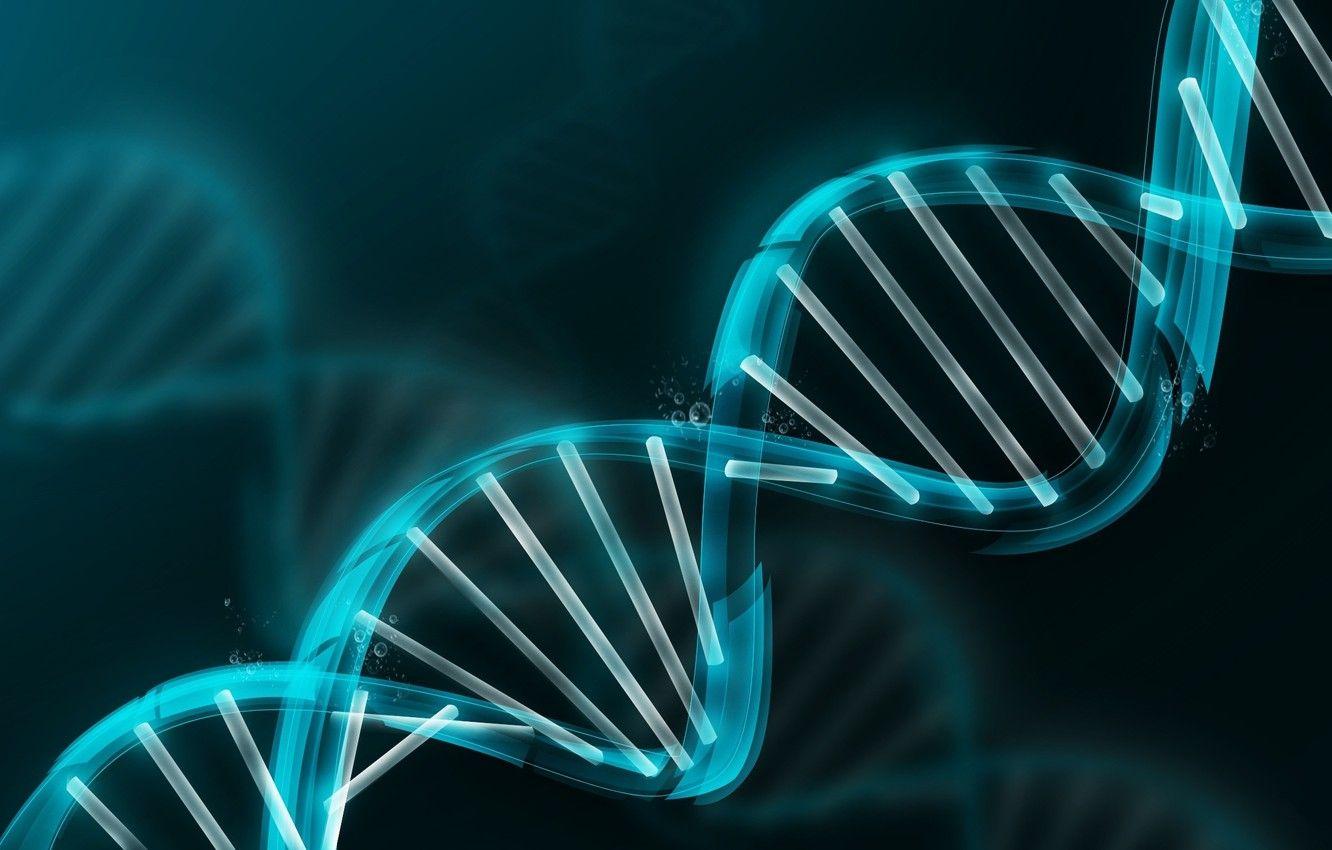 1332x850 Wallpaper model, DNA, blue, molecule image for desktop