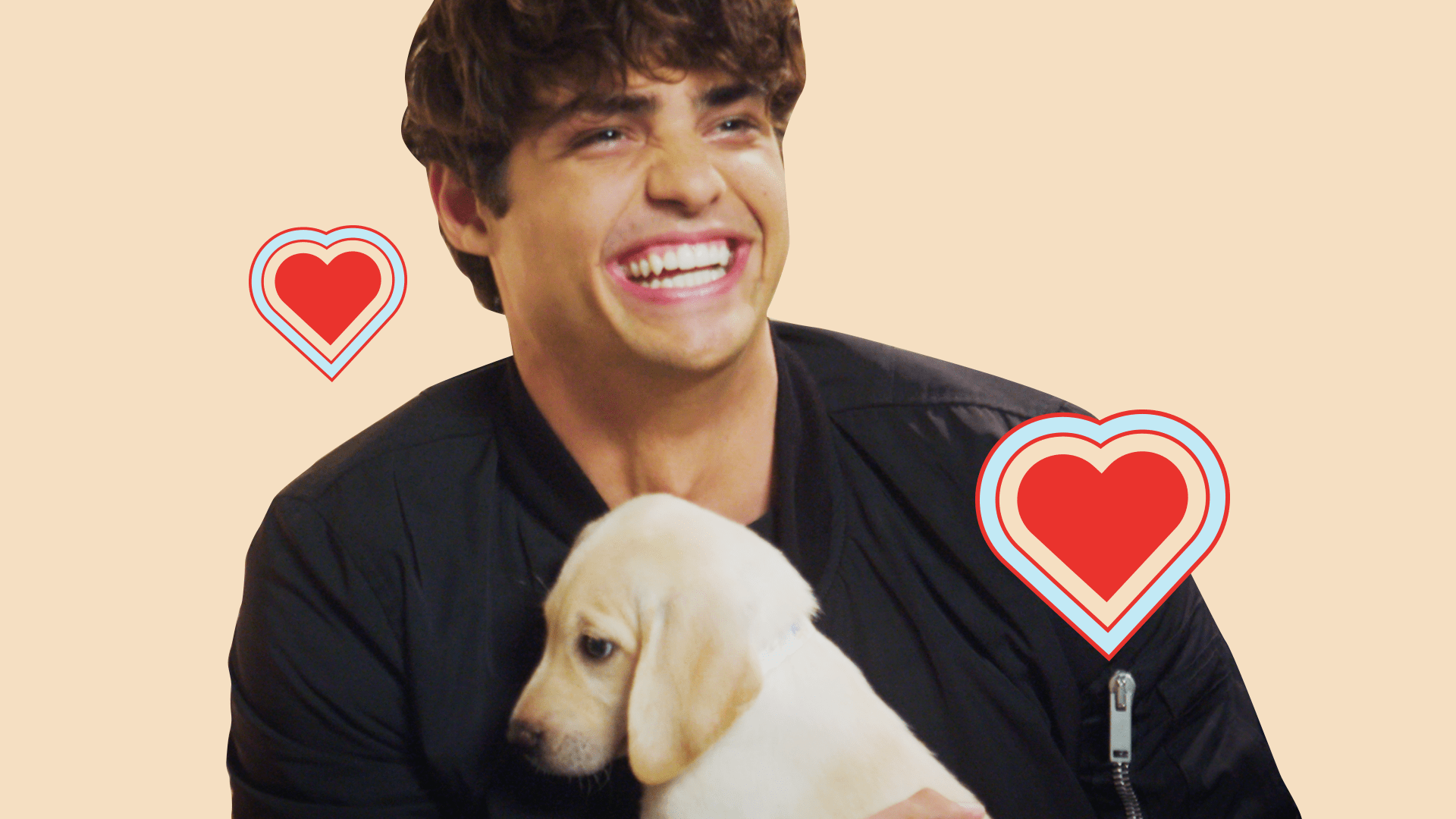 Noah Centineo Wallpapers - Top Free Noah Centineo Backgrounds