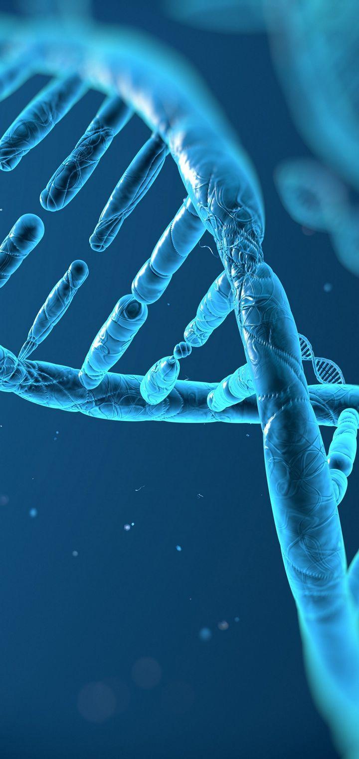 720x1520 DNA 3 D Structure Molecule Wallpaper - [720x1520]