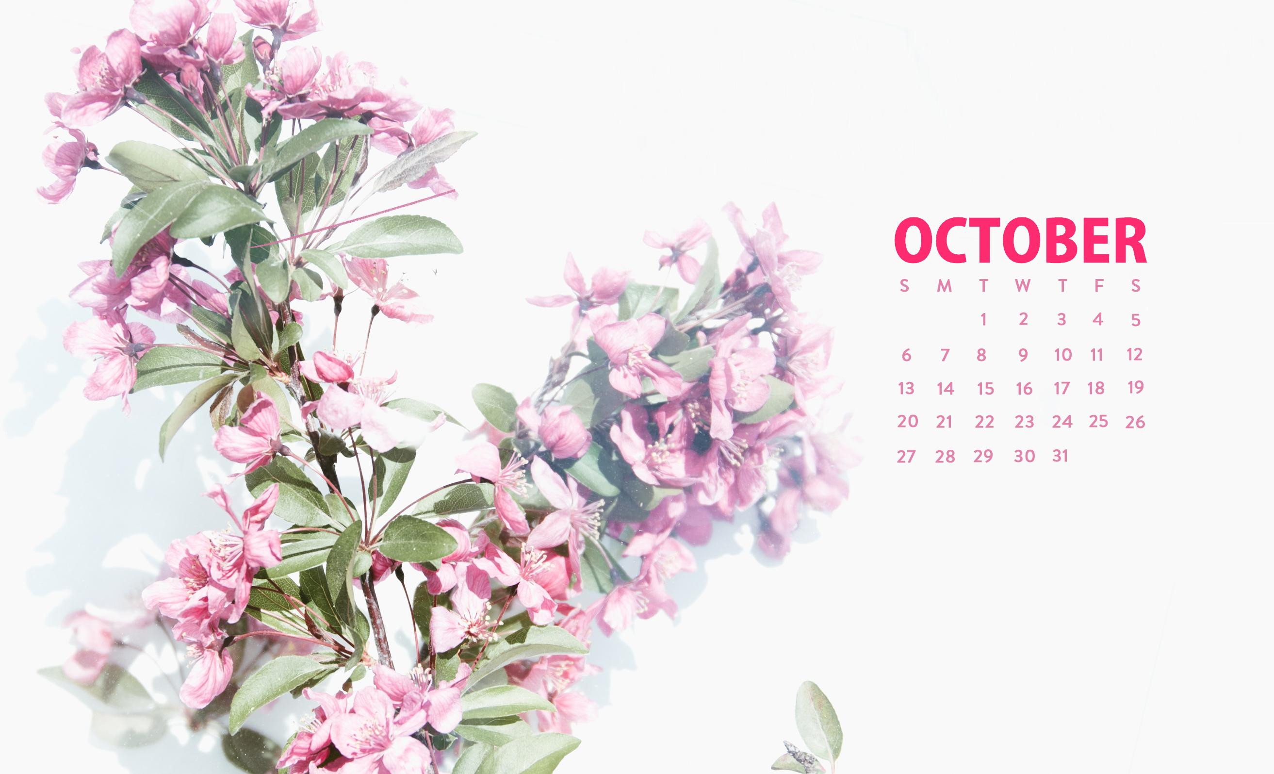 October 2019 Wallpapers - Top Free October 2019 Backgrounds ...