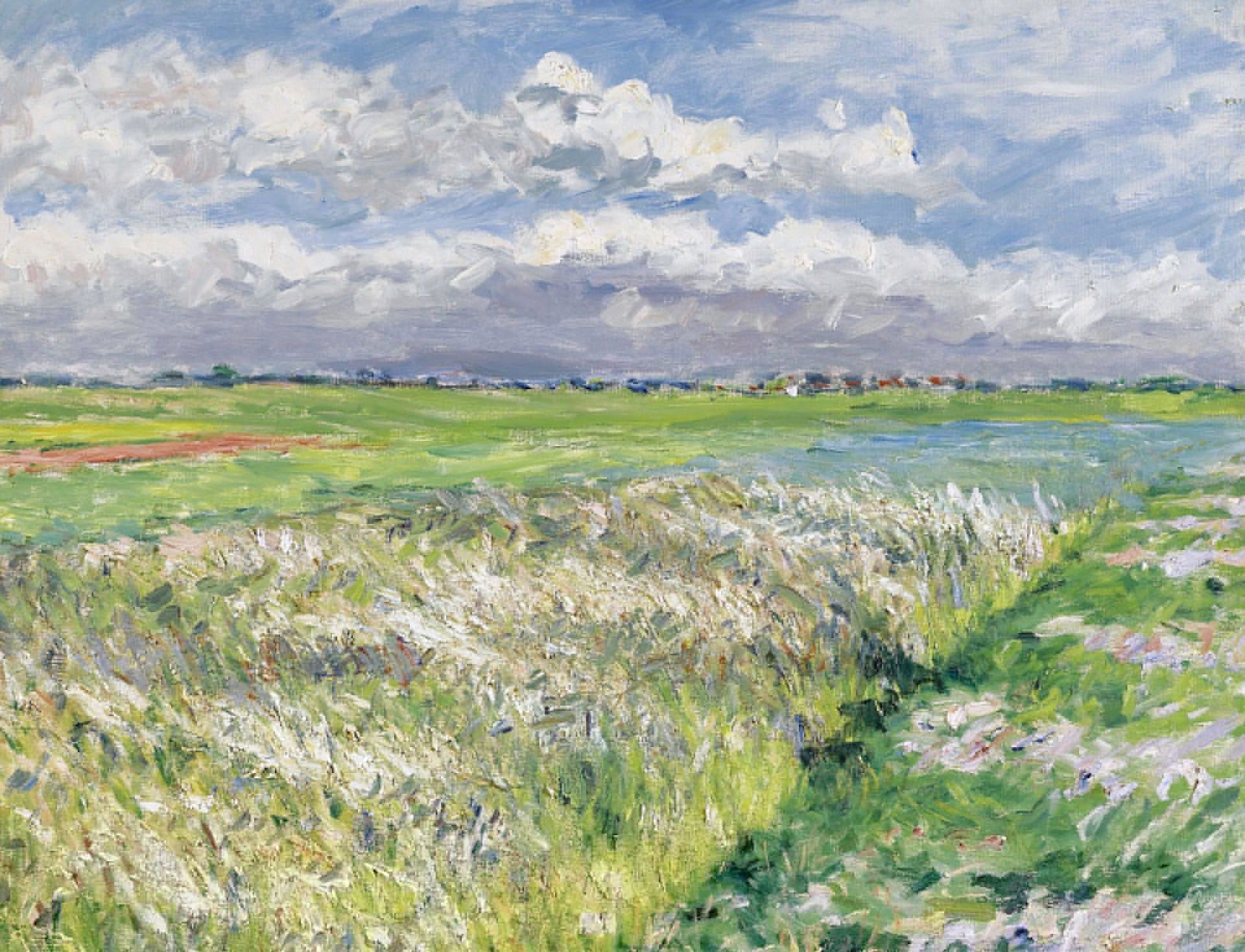 1920x1468 Wallpaper landscape, nature, picture