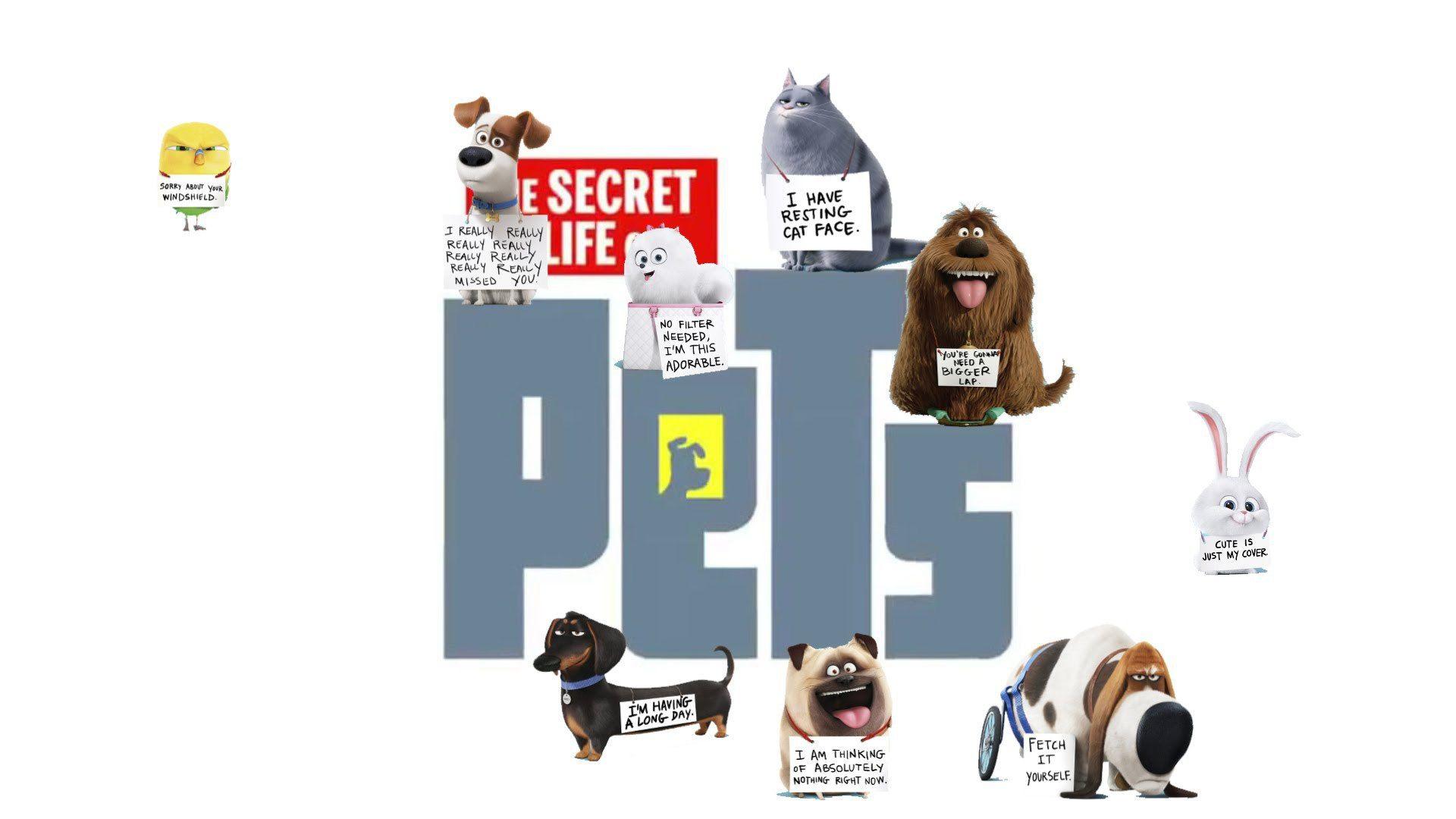 1920x1080 The Secret Life of Pets Snowball and Max Chloe wallpaper HD