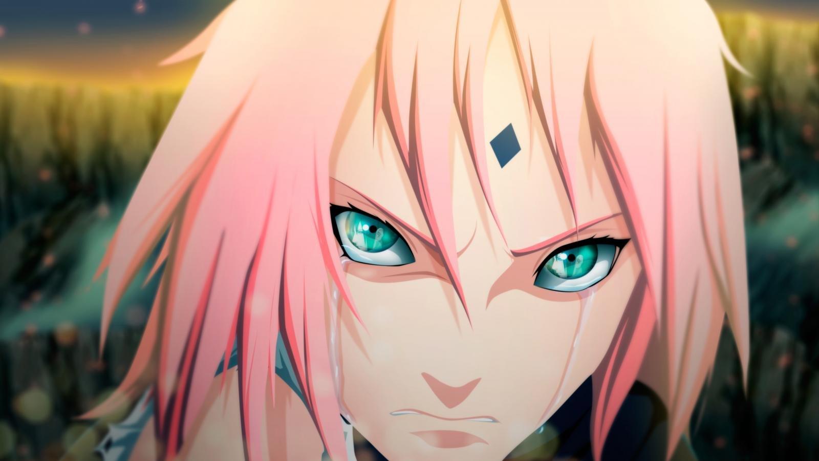 1600x900 Sakura Haruno wallpaper 1600x900 desktop background