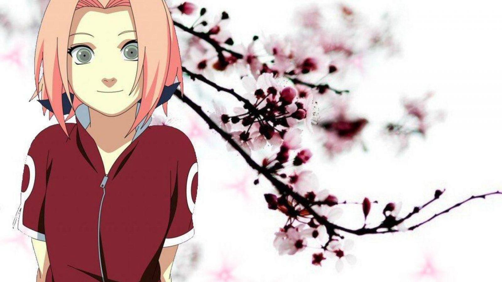 1600x900 Sakura Haruno Full HD Wallpaper