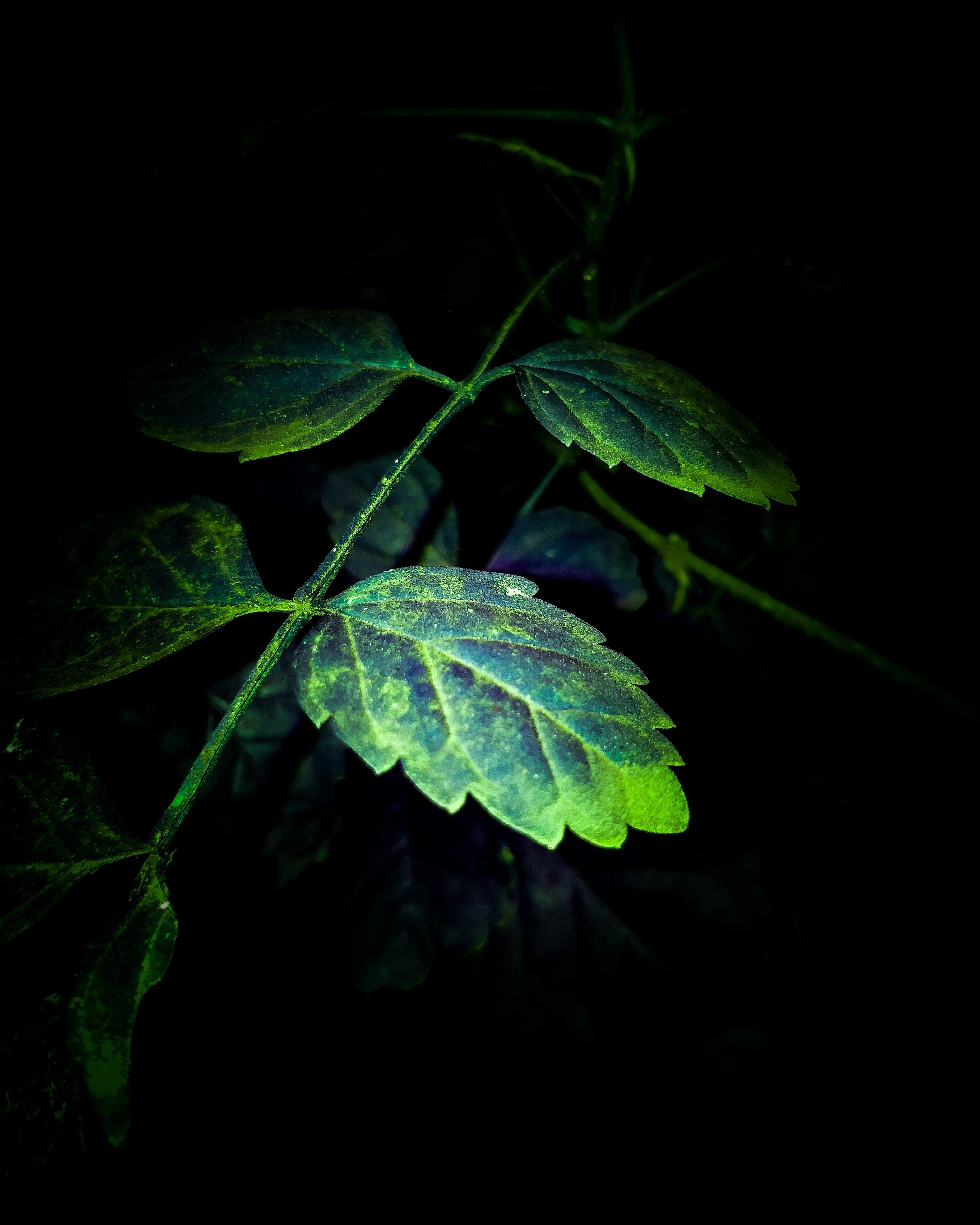 3072x3840 Super AMOLED Wallpaper