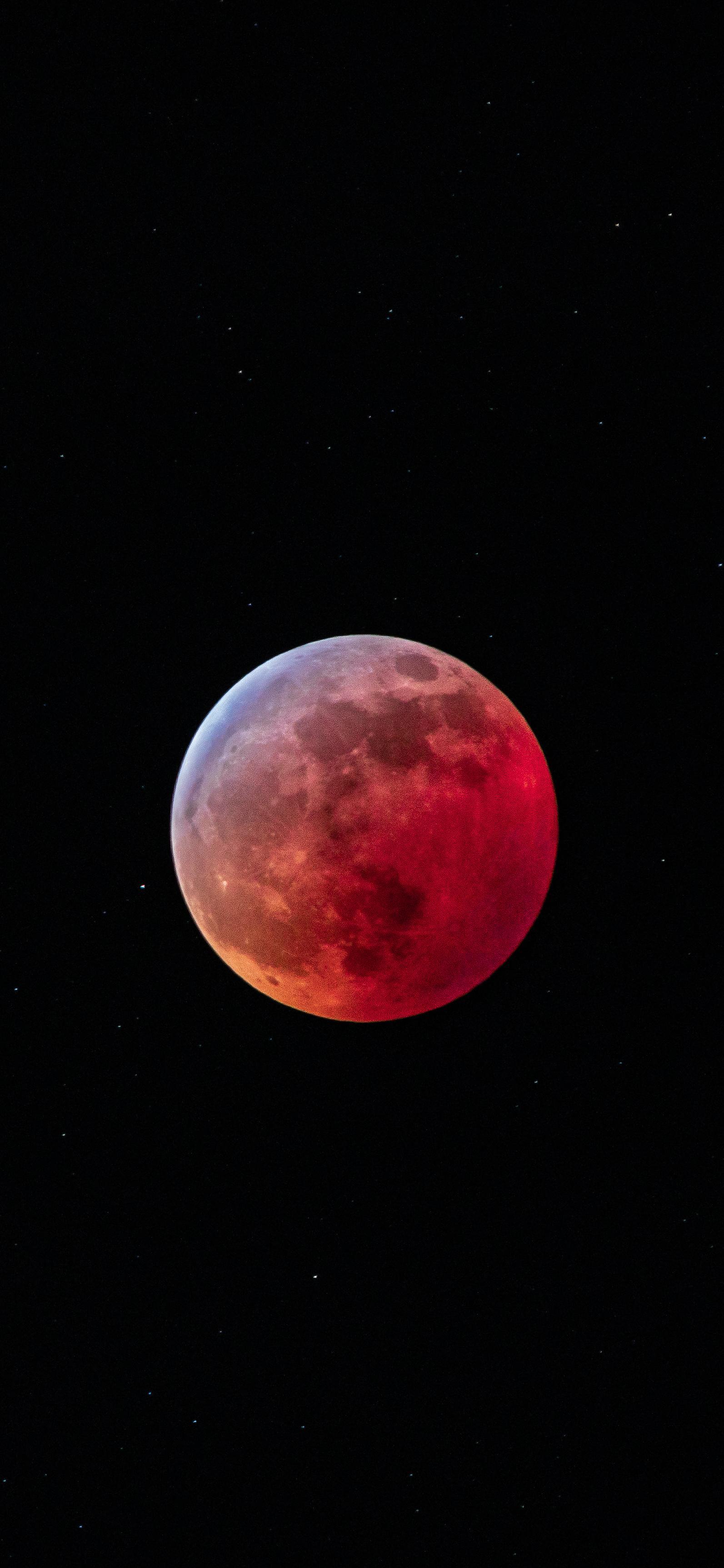 1593x3448 Super Blood Wolf Moon mobile wallpaper