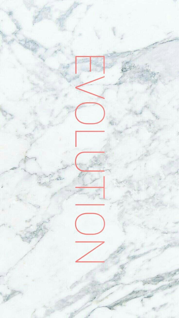 736x1309 Sabrina Carpenter Evolution Wallpaper/ iphone back ground