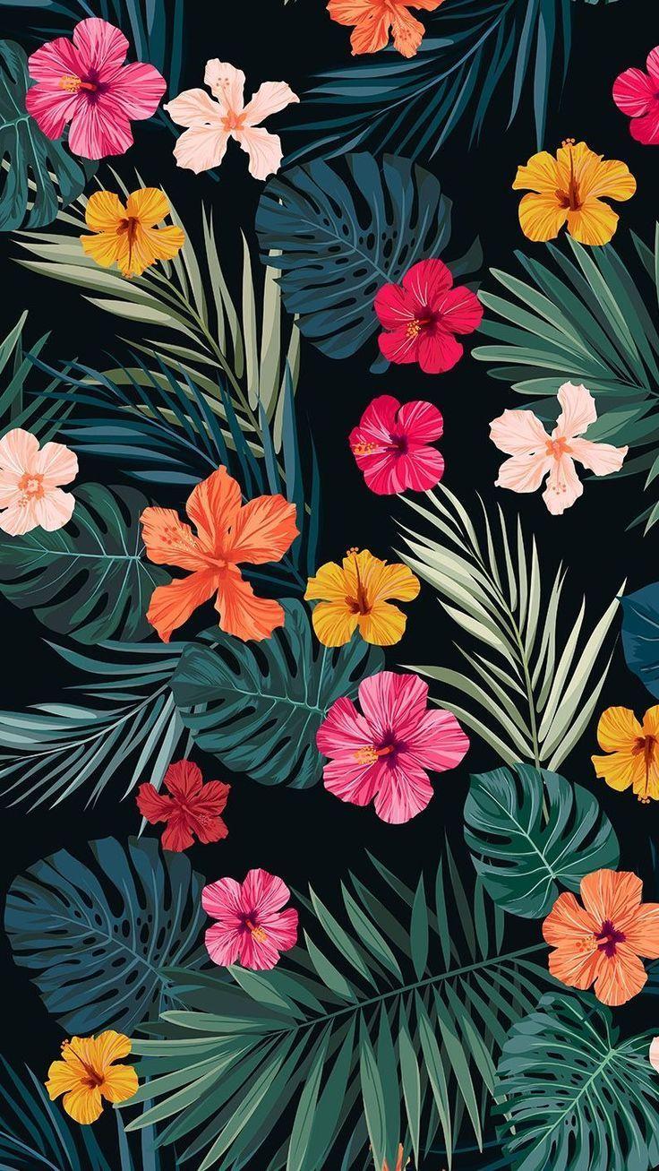 736x1307 Tumblr. Flower iphone wallpaper