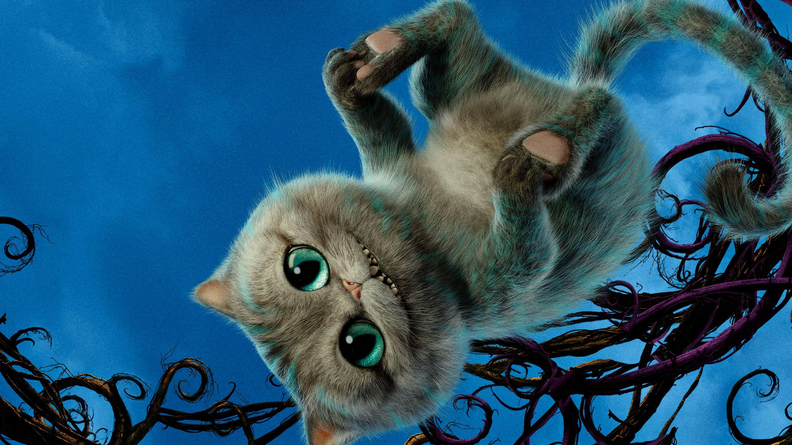 2560x1440 Moana Wallpaper: Movie Wallpaper (Official & Custom) 037 Alice