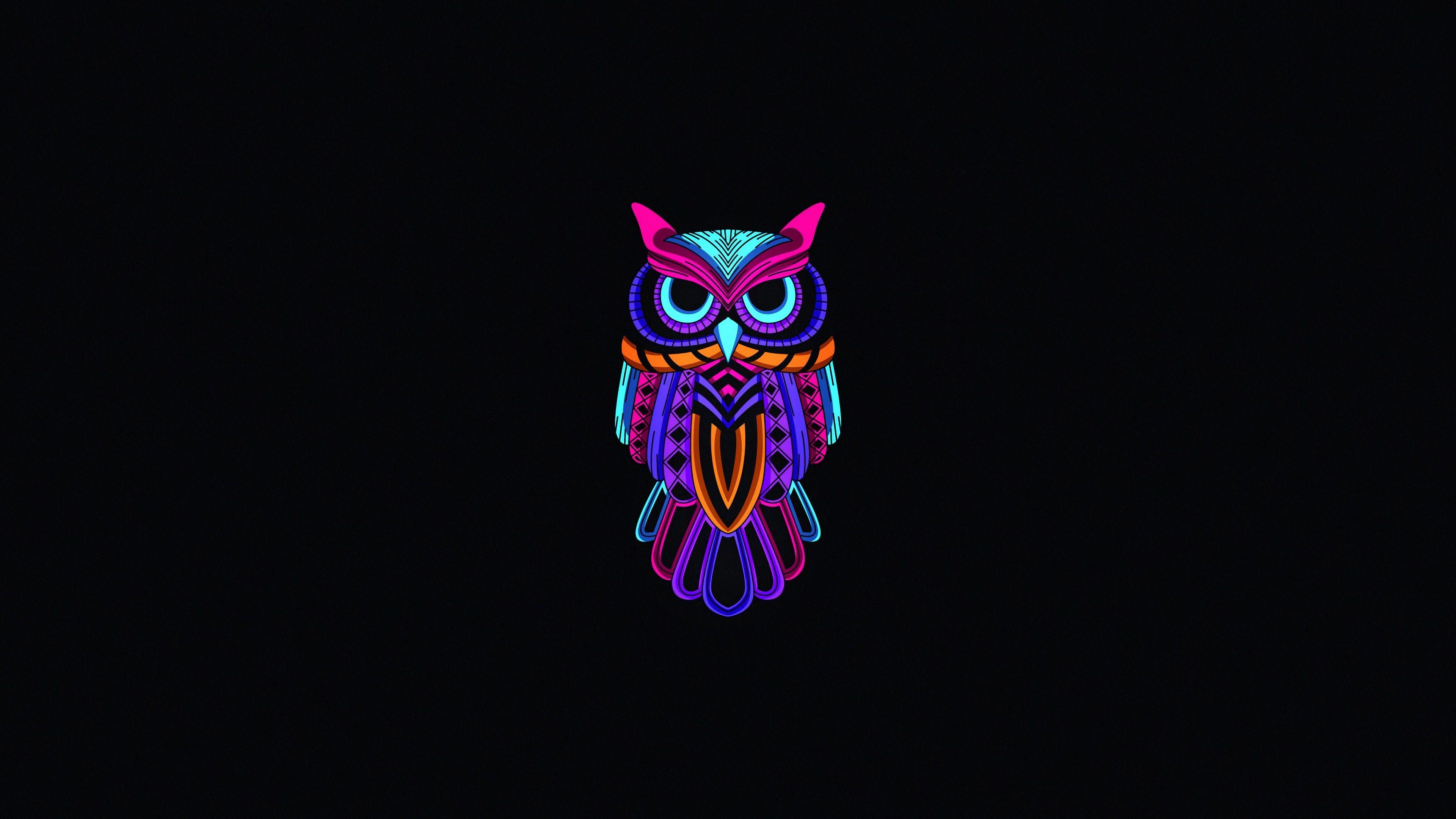 Free download Owl Couple Dark background Predators Wallpaper Background 4K  Ultra [3840x2160] for your Desktop, Mobile & Tablet | Explore 41+ 4K Owl  Wallpaper | Cute Owl Wallpaper, Snowy Owl Wallpaper, Owl City Wallpaper