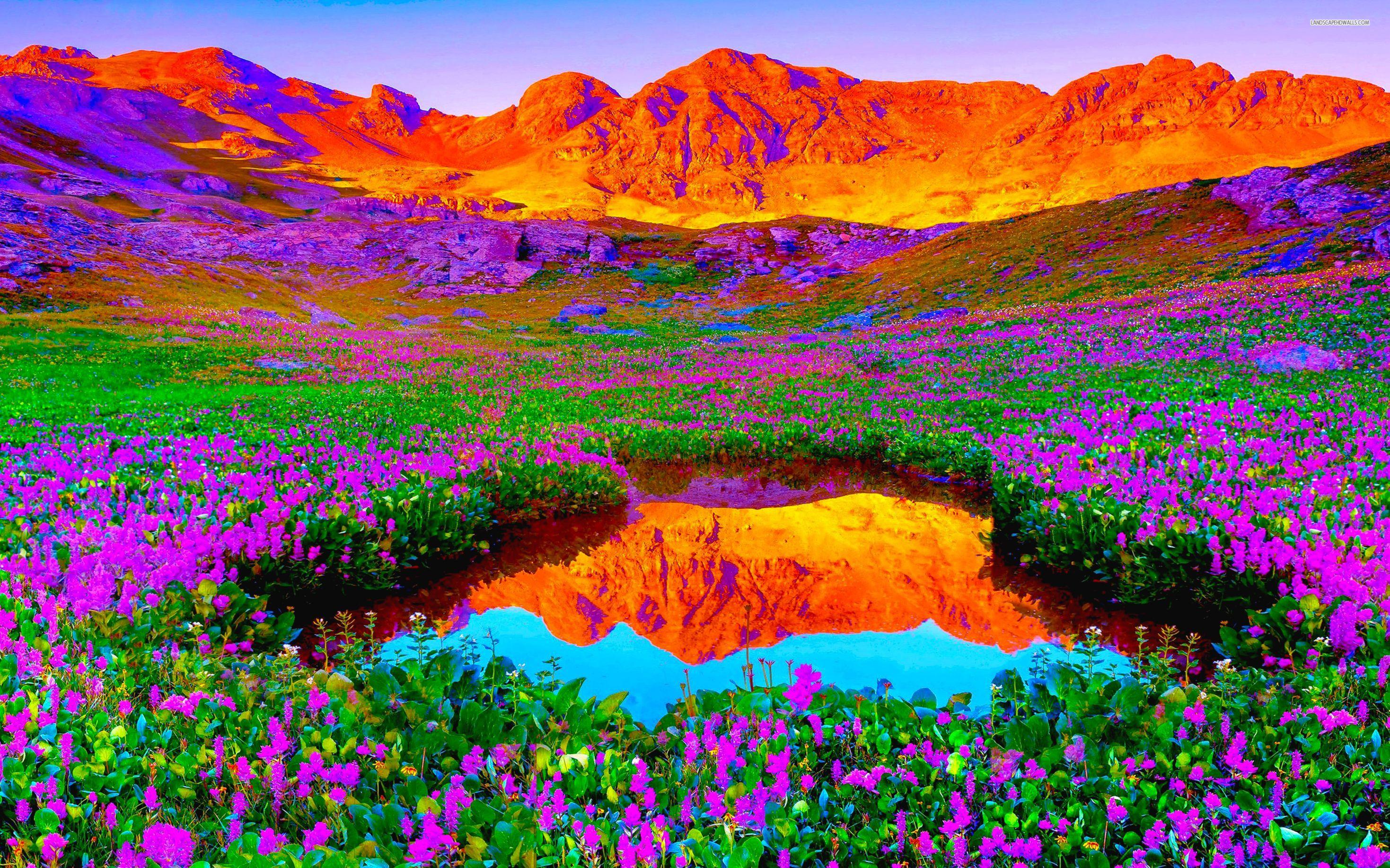 Vibrant Wallpapers Top Free Vibrant Backgrounds WallpaperAccess