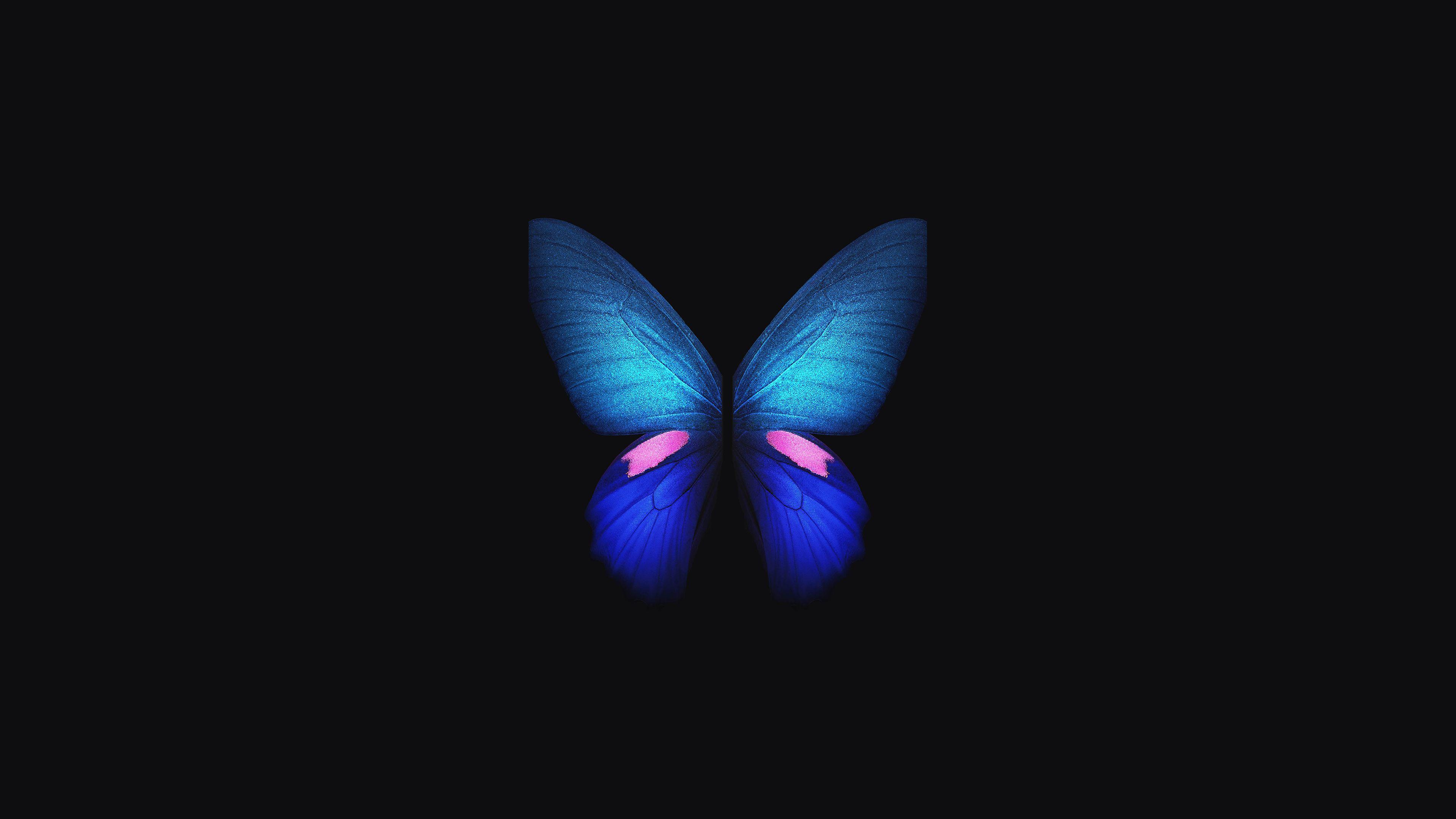 3840x2160 #samsung galaxy fold, #butterfly, #samsung, #stock