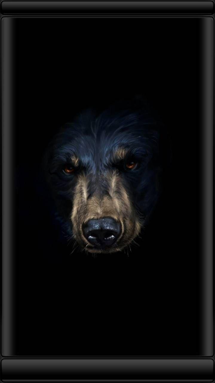 720x1280 BLACK BEAR wallpaper
