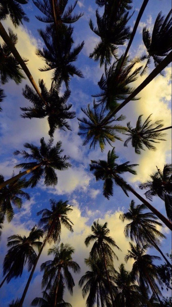 720x1280 Tumblr Live Wallpaper Wallpaper HD iPhone 6