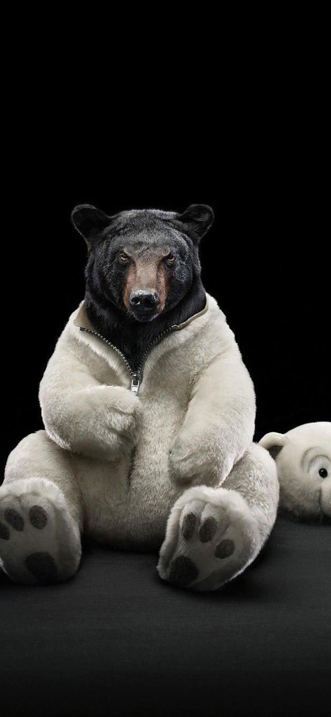 1125x2437 Black Bear IPhone X2 Wallpaper Download IPhoneX2Wallpaper