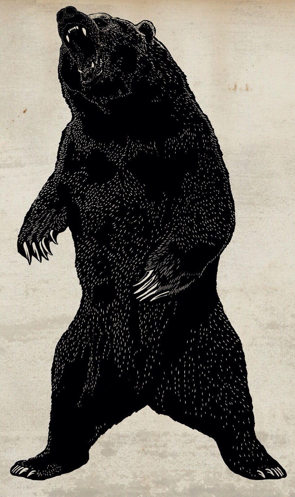 952x1600 Black Bear