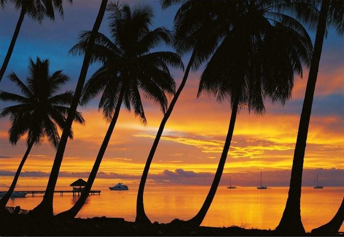 1119x771 Sunsets: Sky Bora Beach Sun Clouds Colors Sunset Palms Picture