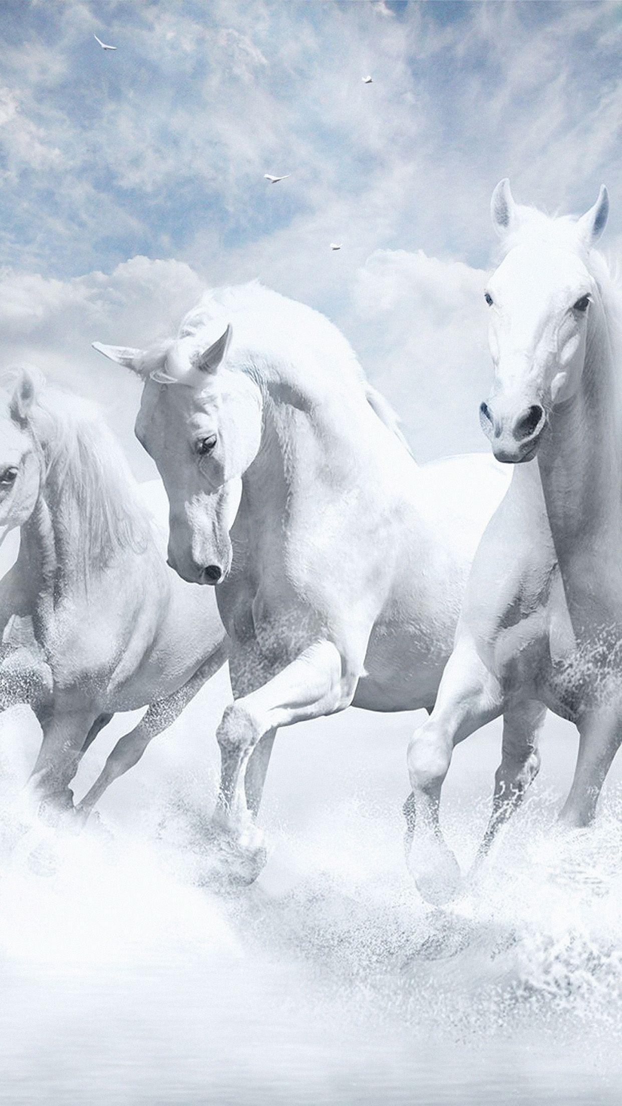 1242x2208 iPhone 8 wallpaper. white horses