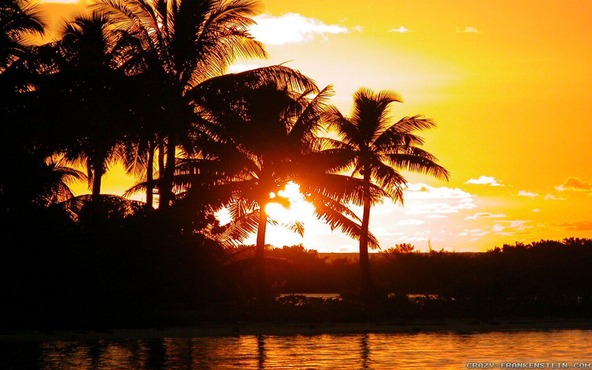 1920x1200 Bora Bora wallpaper 2