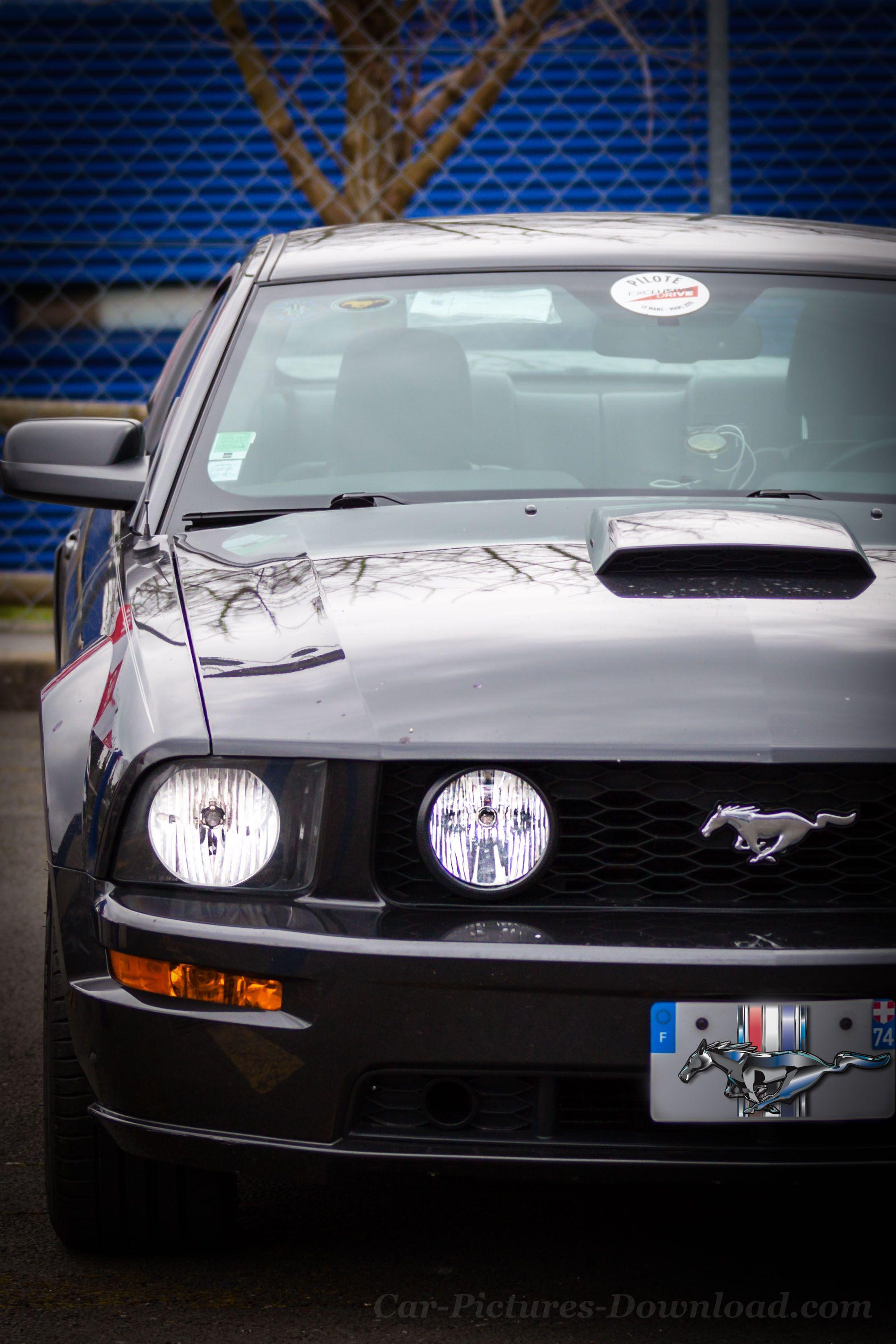 2009x3013 Ford Mustang Wallpaper Ultra HD High Resolution