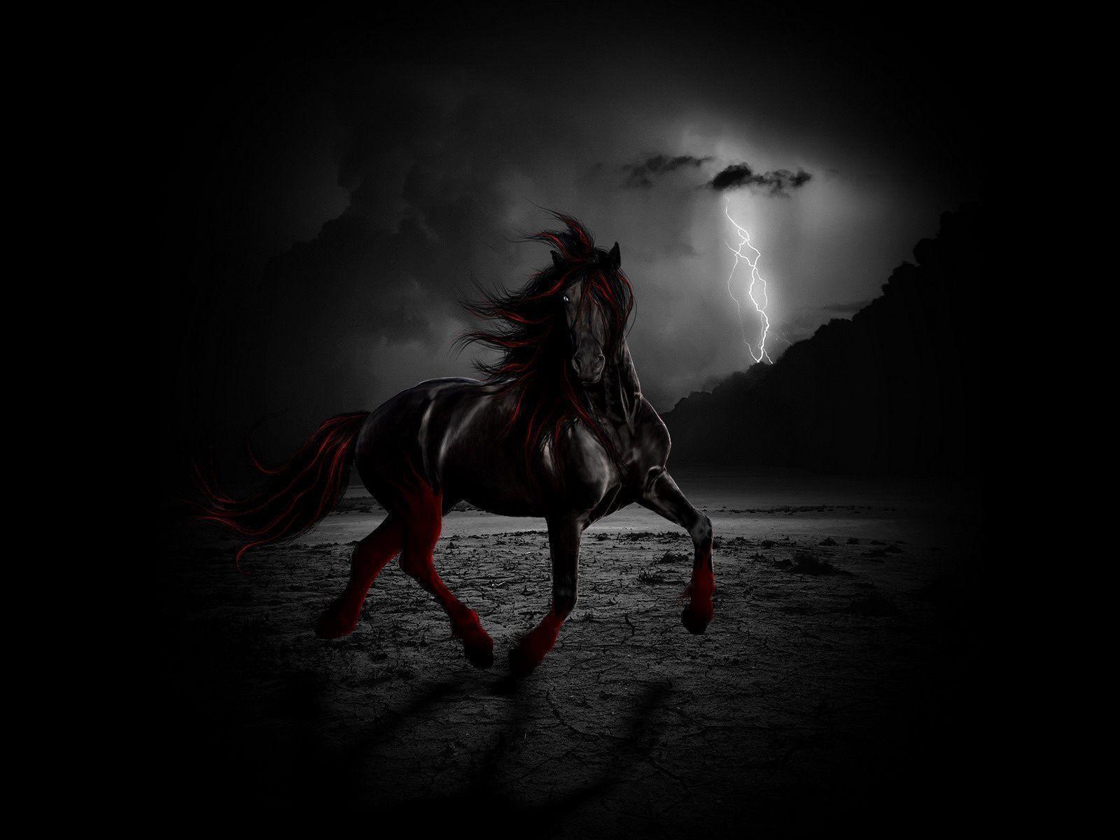 1600x1200 Black Horse Wallpaper