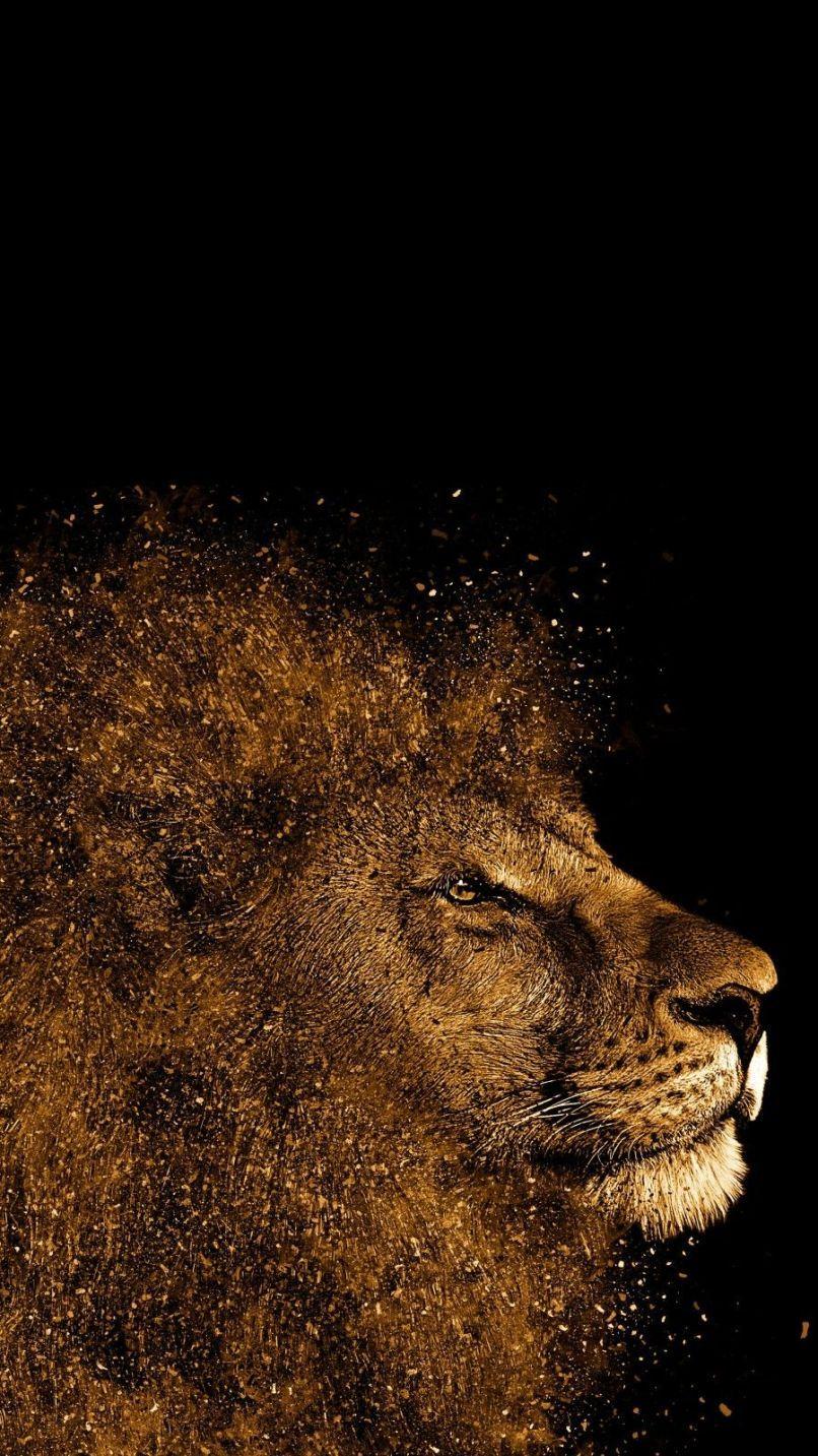 806x1433 Dark Lion Wallpaper For Mobile Phones