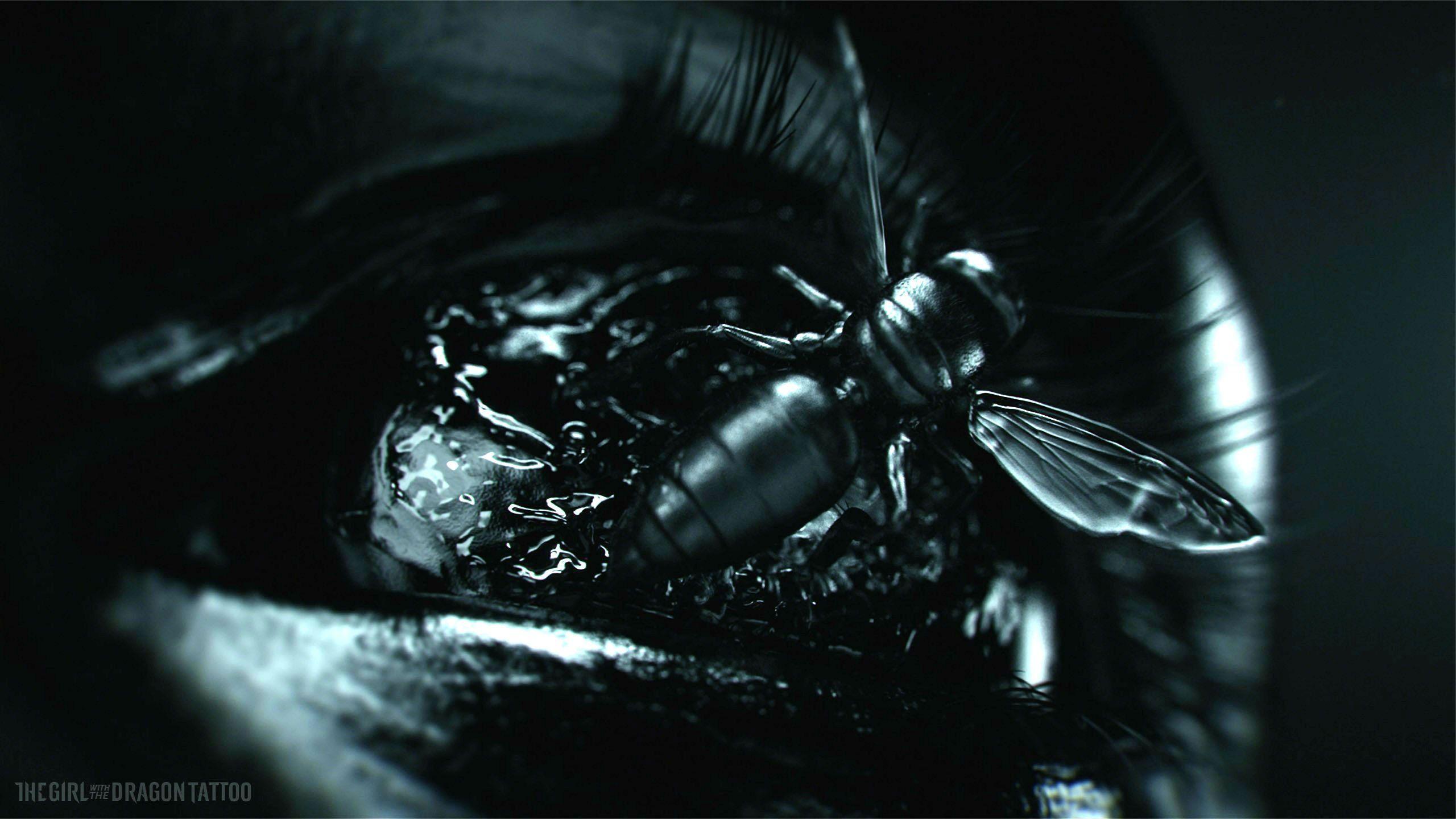 2560x1440 girl, Dragon, Tattoo, Crime, Drama, Mystery, 1gwpwf