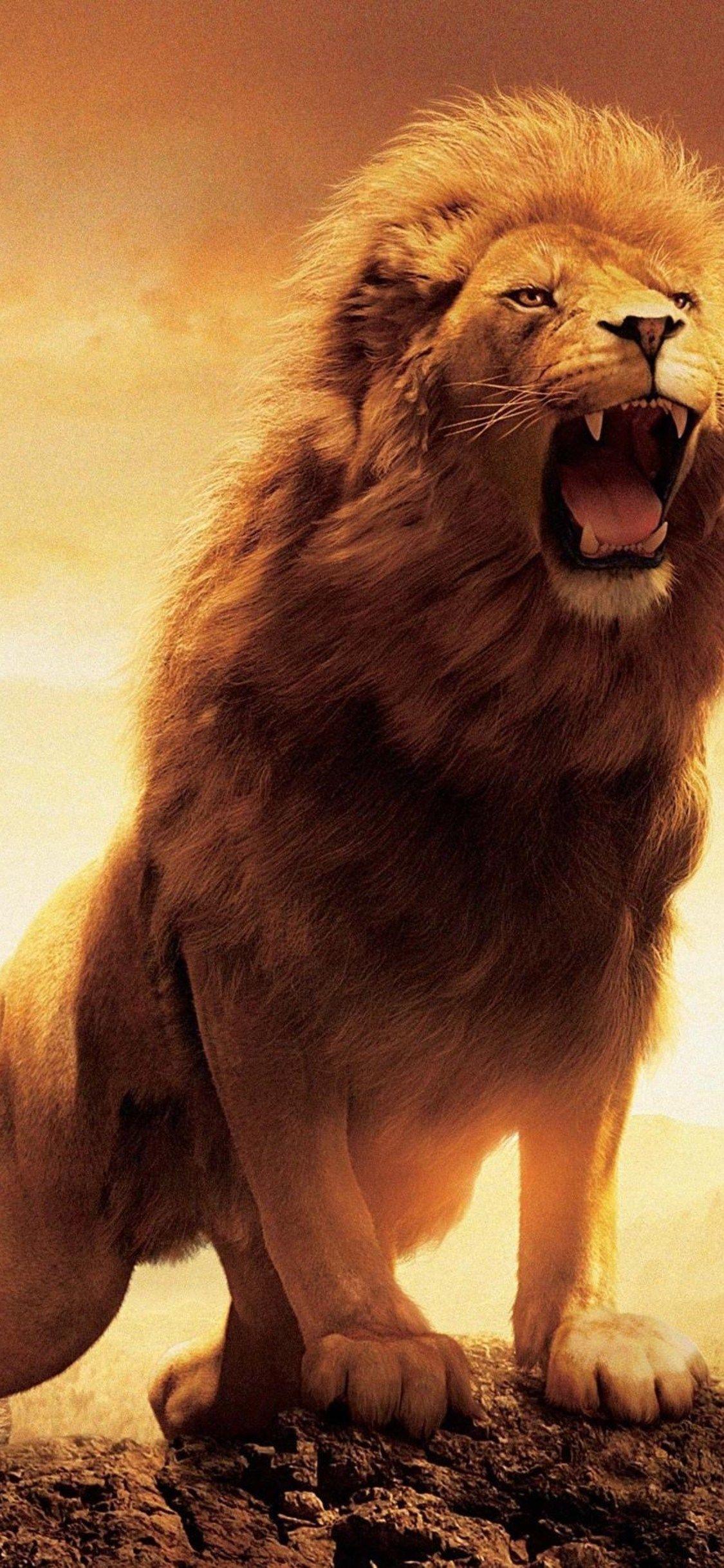 1125x2436 Narnia Lion iPhone XS, iPhone 10, iPhone X HD 4k