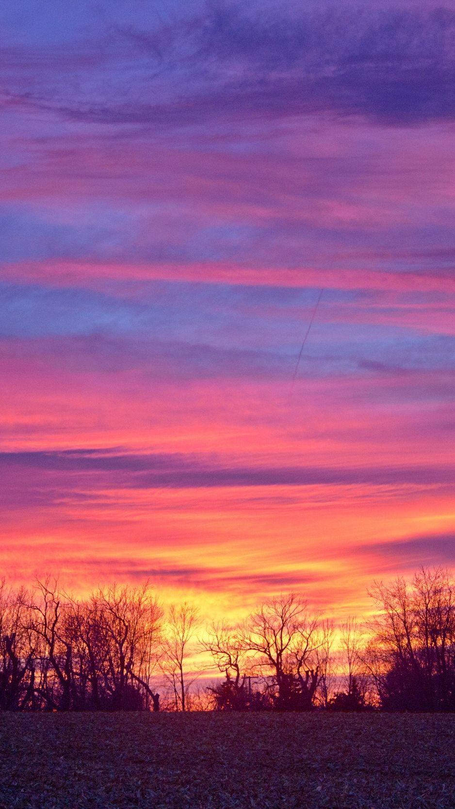 938x1668 Download wallpaper 938x1668 sky, colorful, horizon, trees
