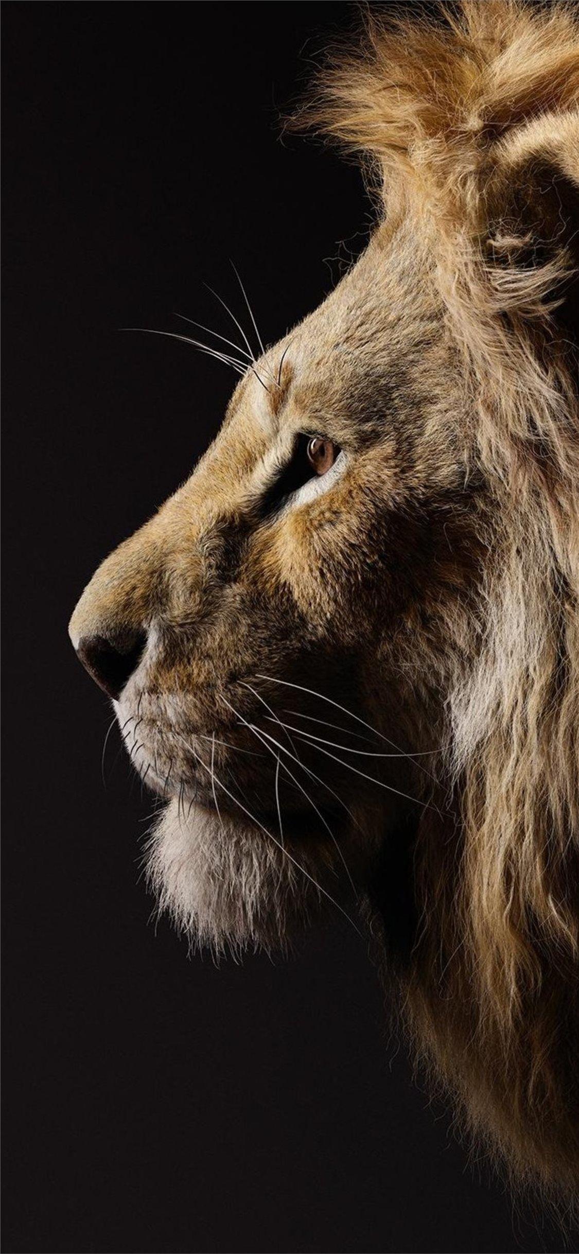 1125x2436 donald Glover as simba the lion king 2019 iPhone X