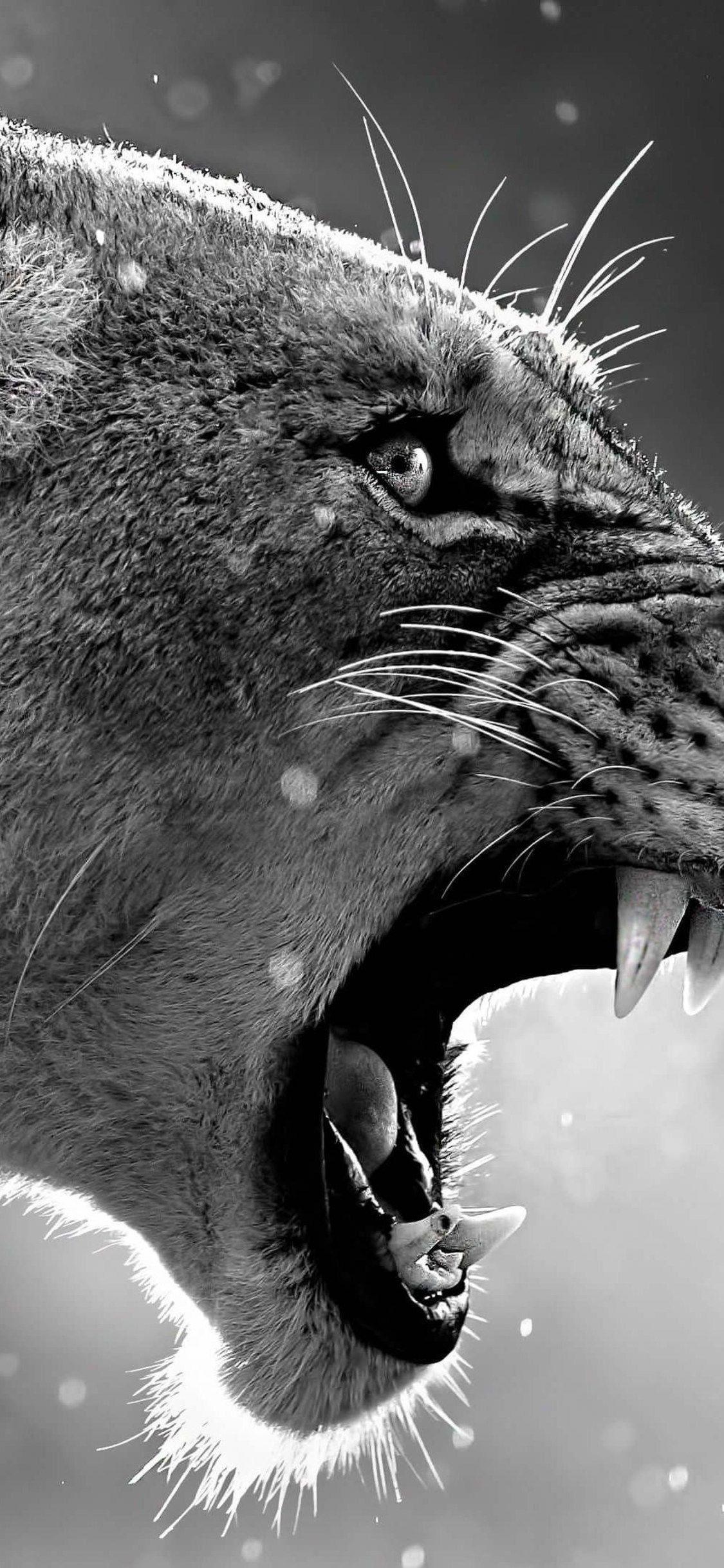 1125x2436 Lion Roaring iPhone XS, iPhone 10, iPhone X HD 4k
