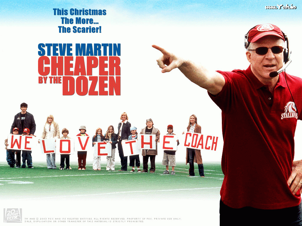1024x768 Sonja Galloway: steve martin wallpaper