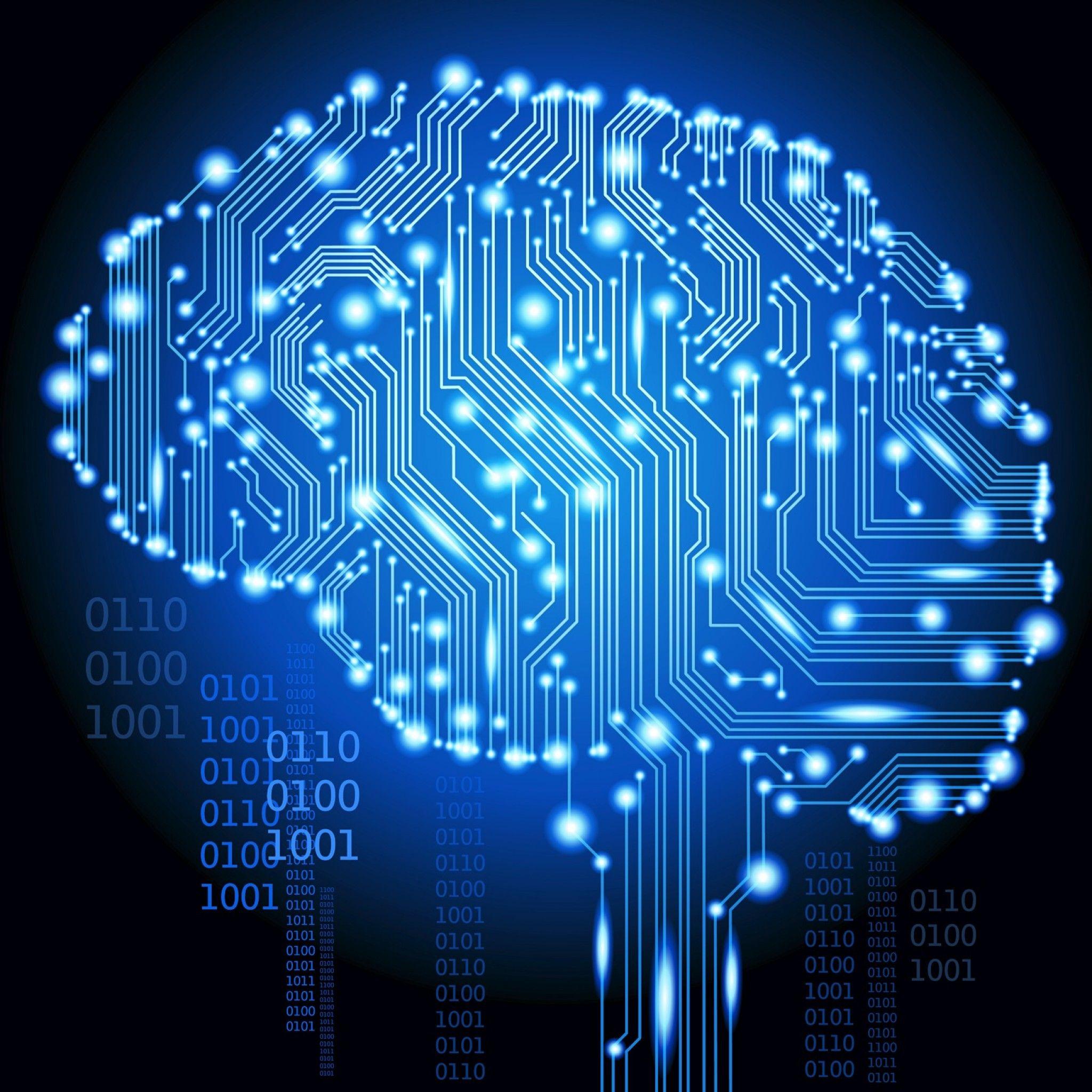 2048x2048 Wallpaper Brain, Digital, Human Brain, Intelligence