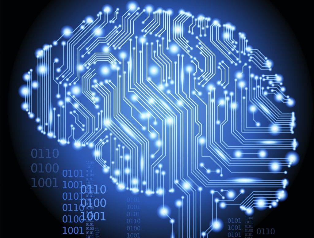 1024x777 Data Brain Background. HD Wallpaper