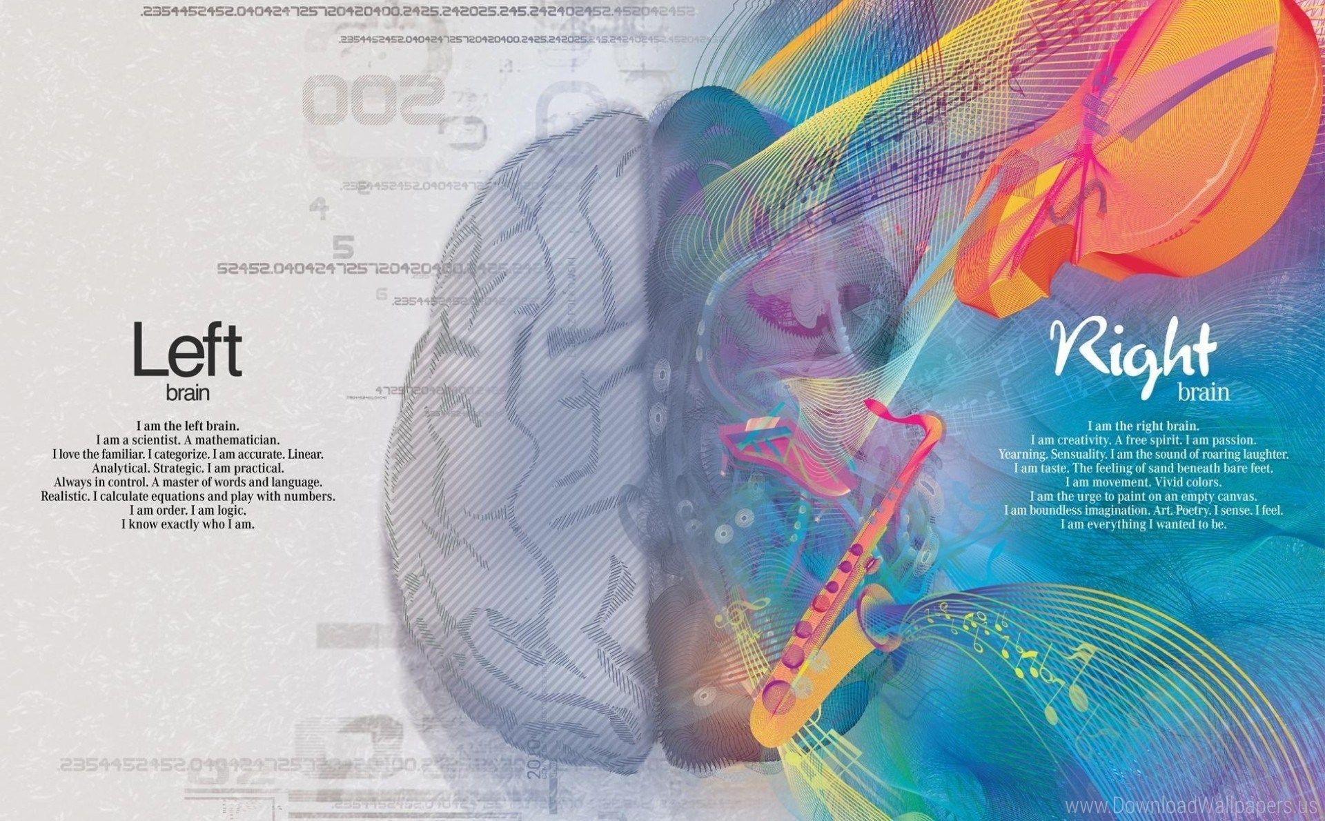 1920x1190 Brain, Creativity, Creativity, Gray Matter, Gyrus