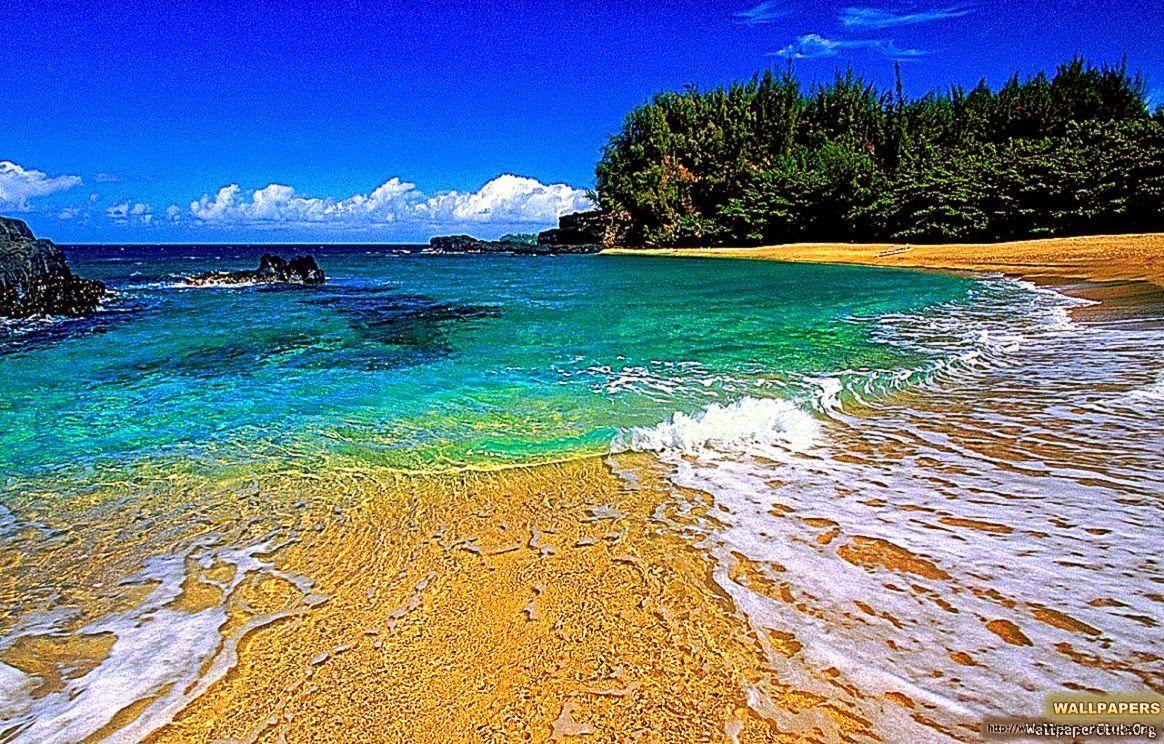 1164x744 Best Hawaii Beach Wallpaper