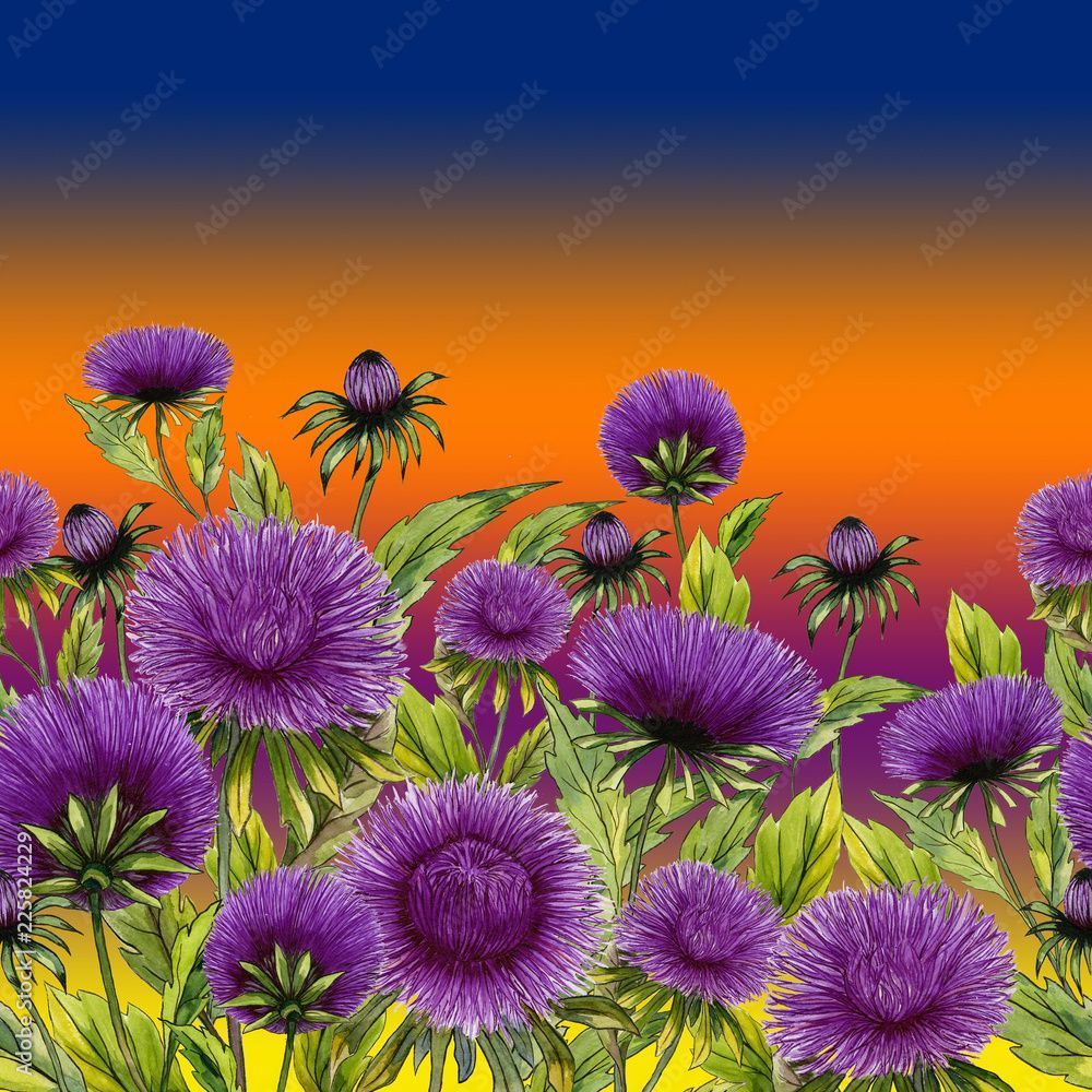 1000x1000 Beautiful purple aster flowers