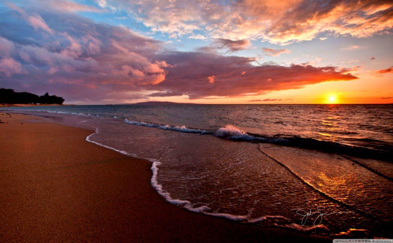 1310x810 Beach Sunset Background For Desktop Wallpaper