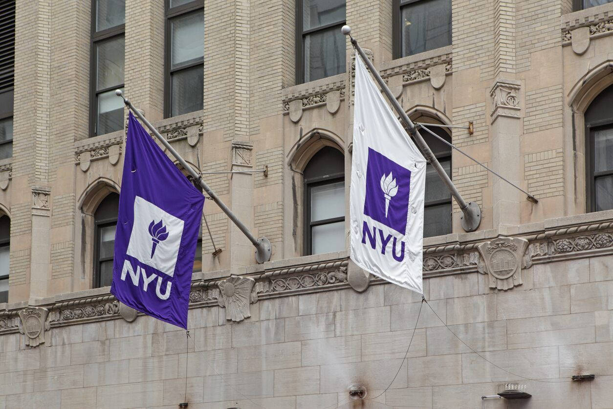 1254x836 Nyu Wallpaper